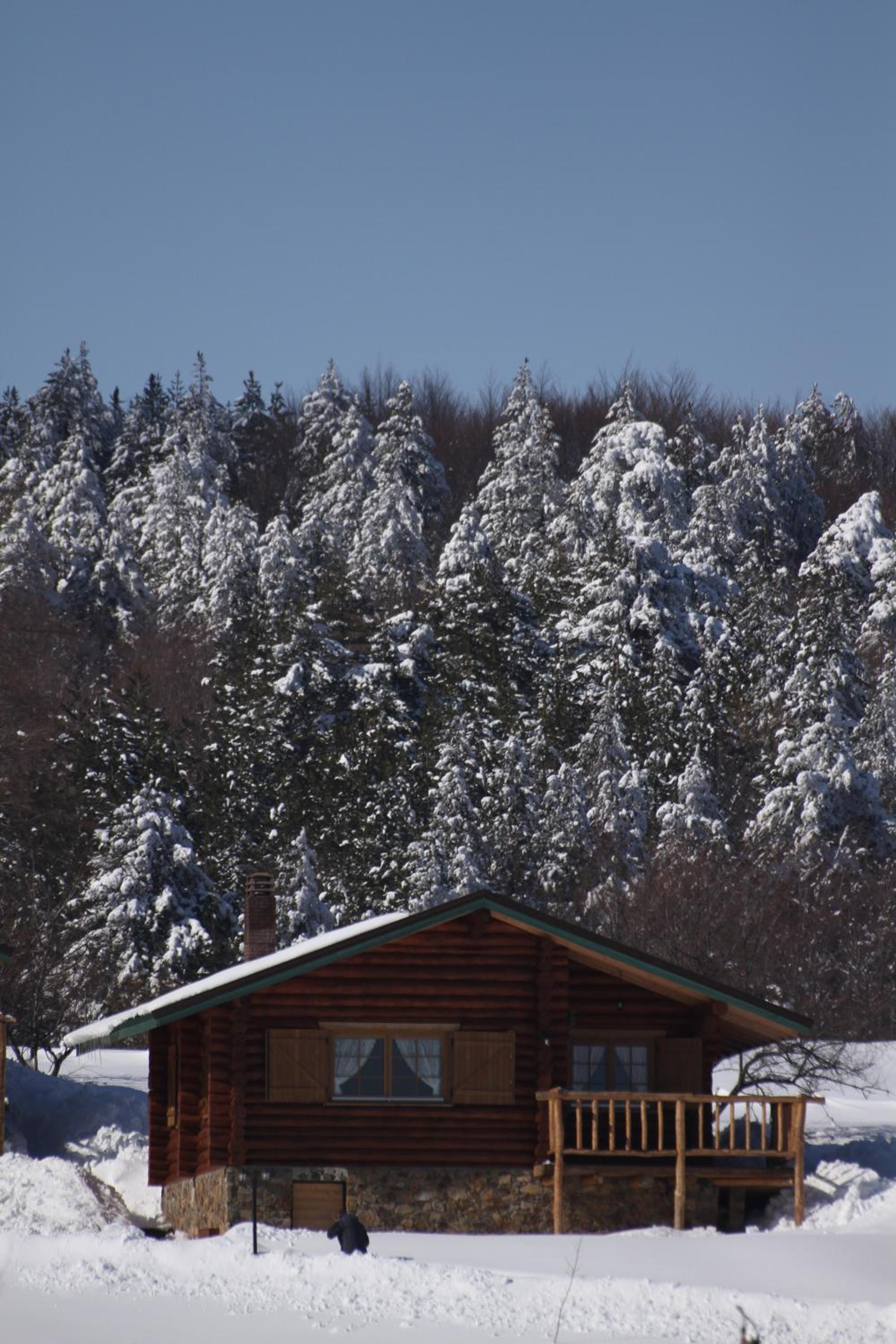 Chalet with fireplace