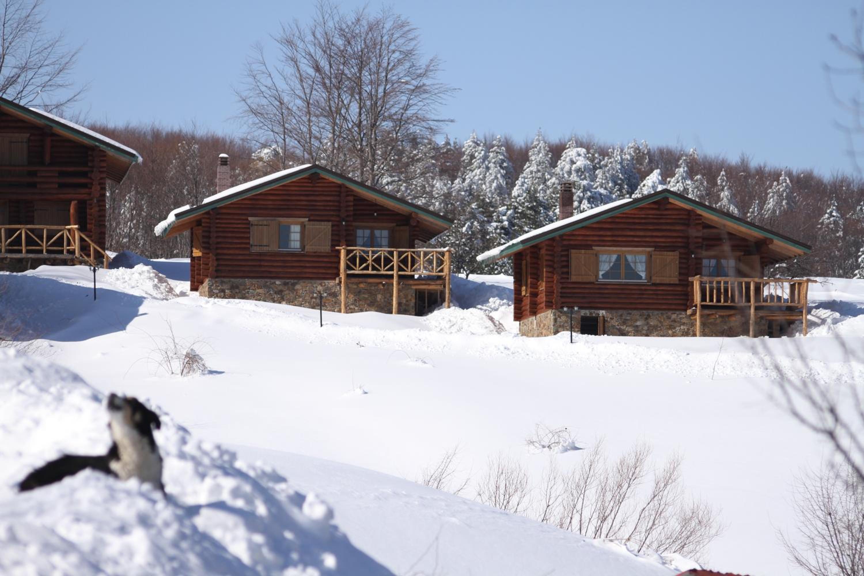 Chalet with fireplace