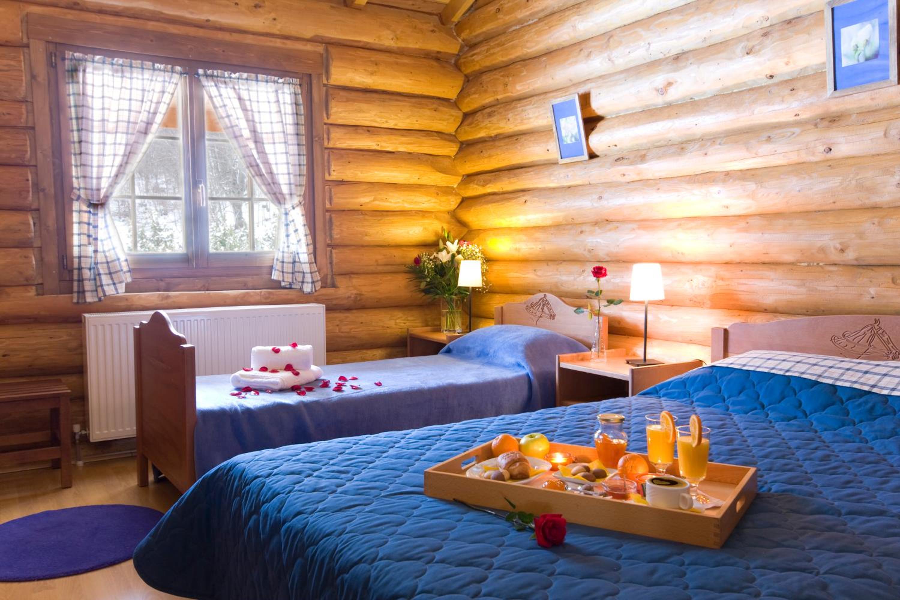 Chalet with fireplace