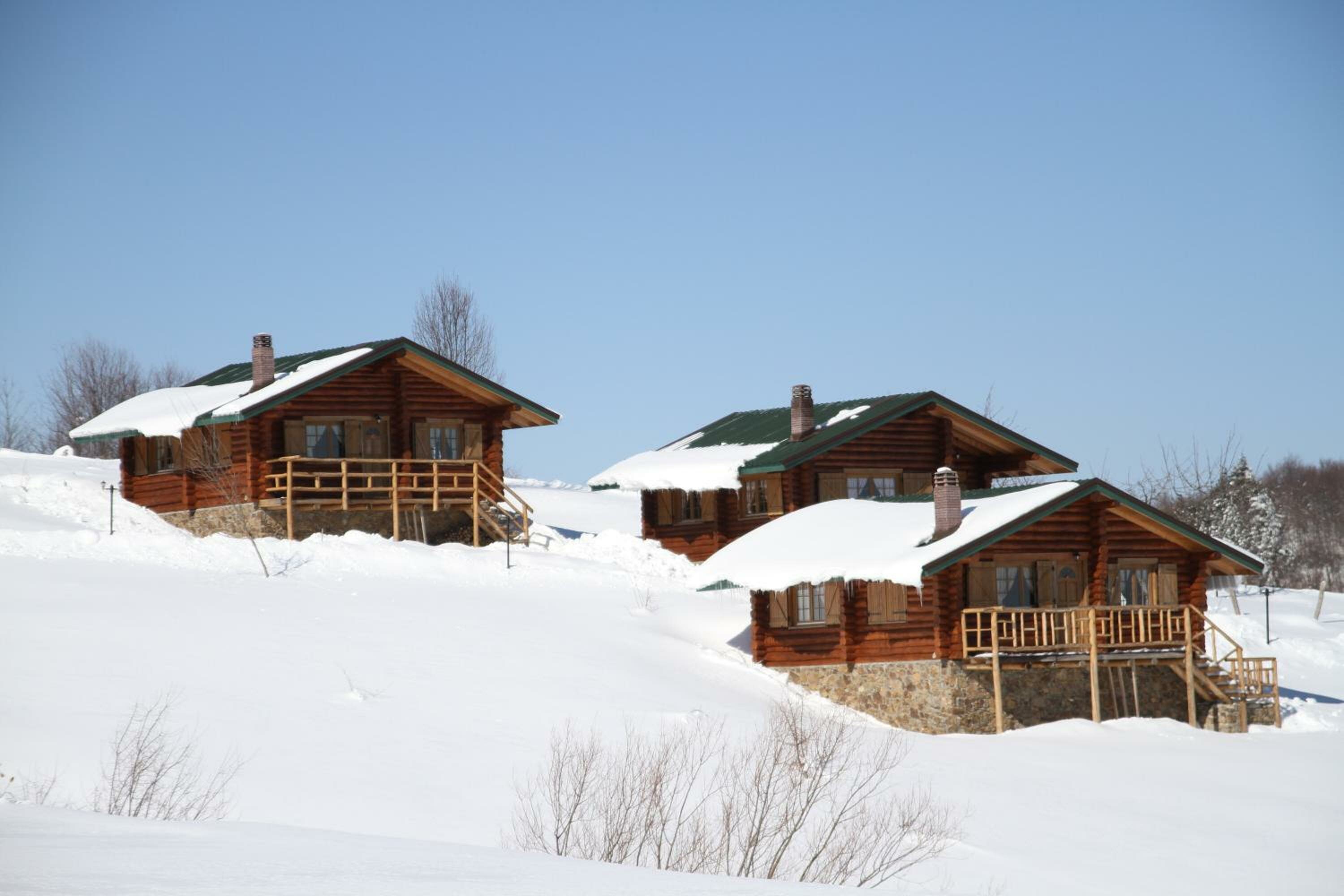 Chalet with fireplace