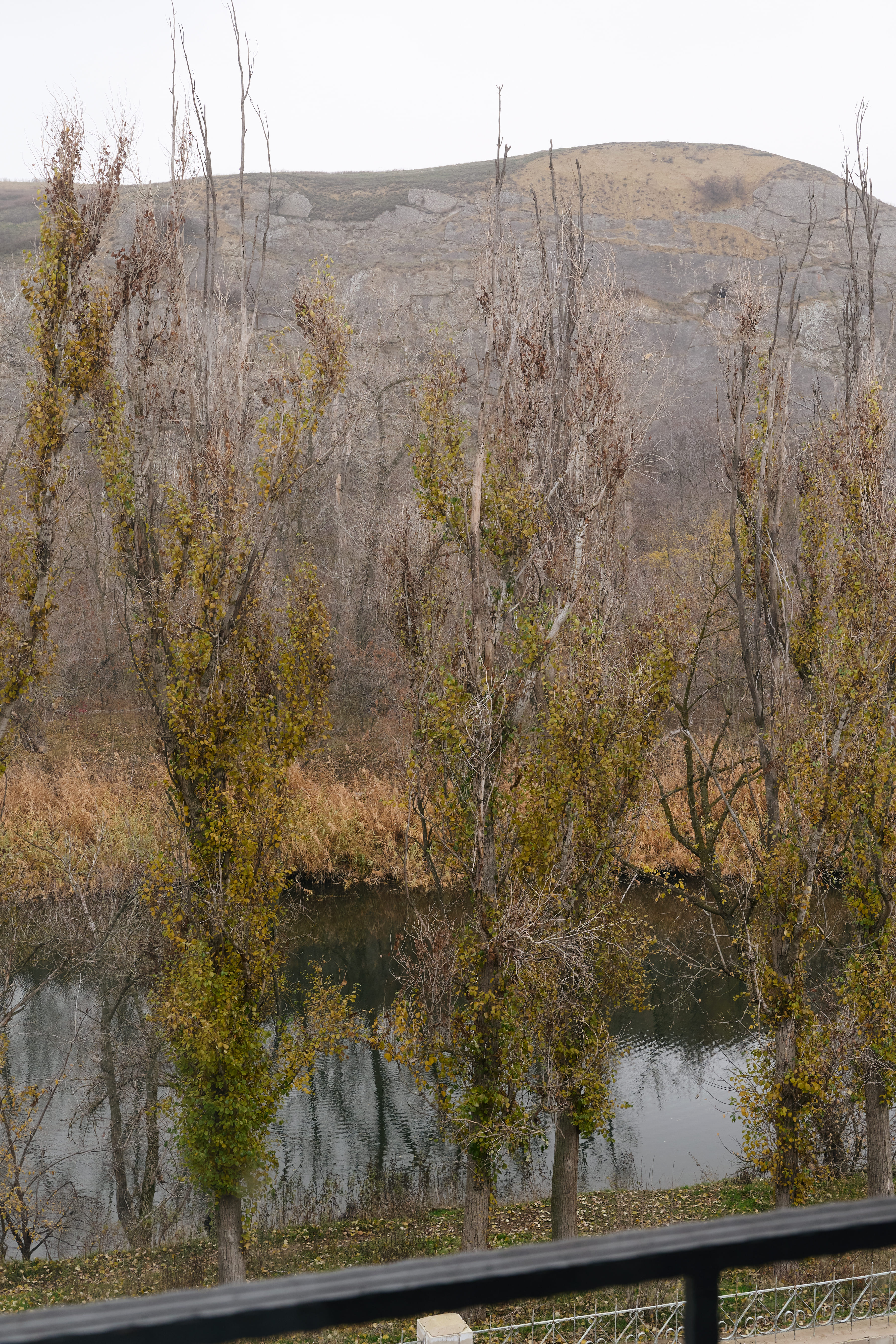 Полулюкс 2-6