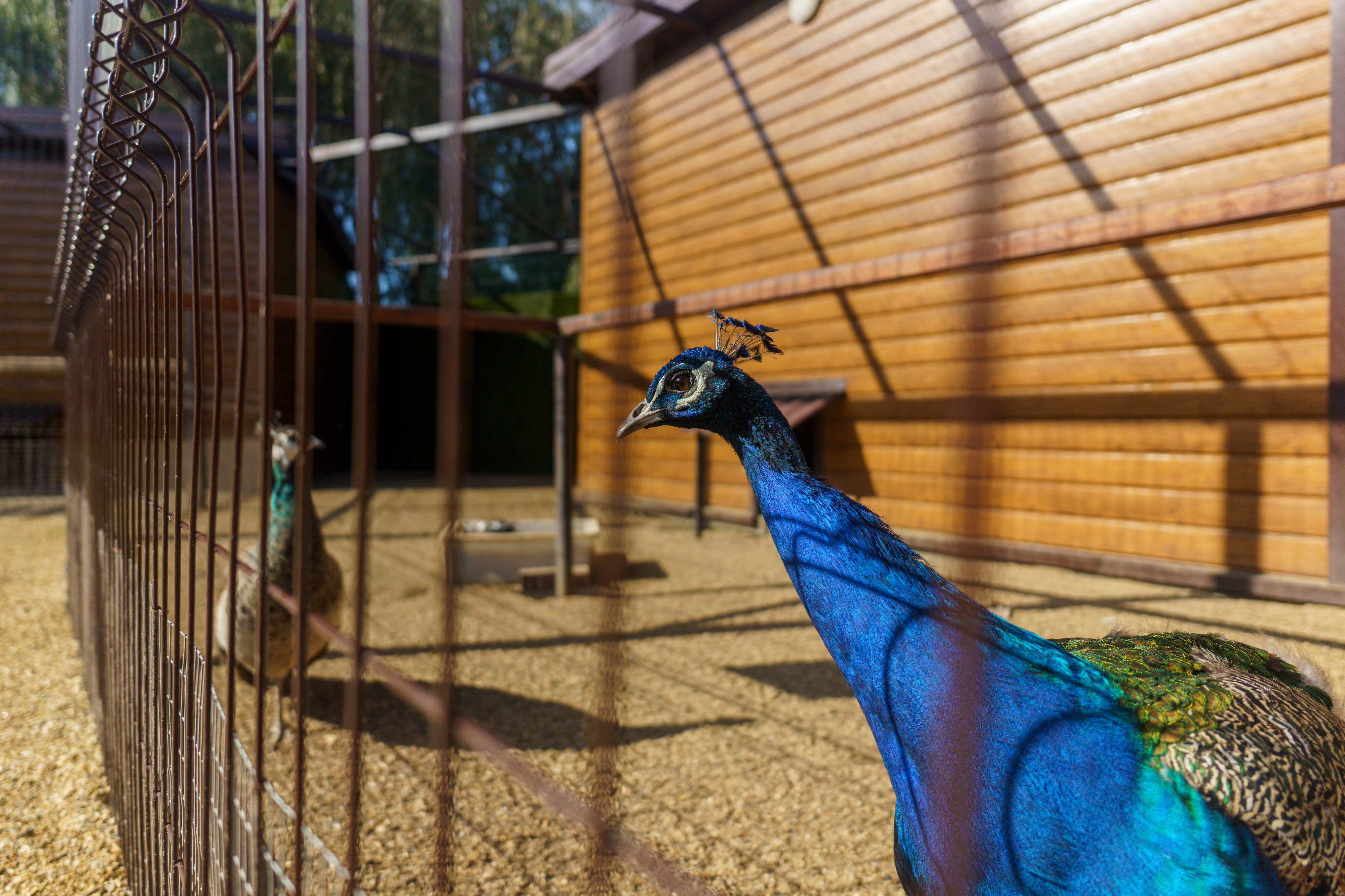 Двухместный номер Стандарт в гостинице на берегу реки с мангальной зоной