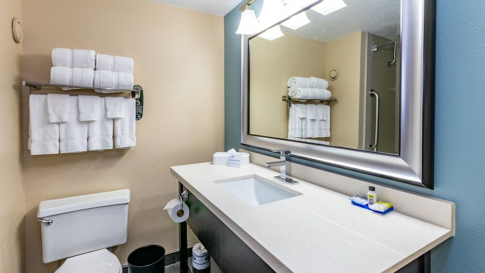 Standard Room, 1 King Bed, Mountain View