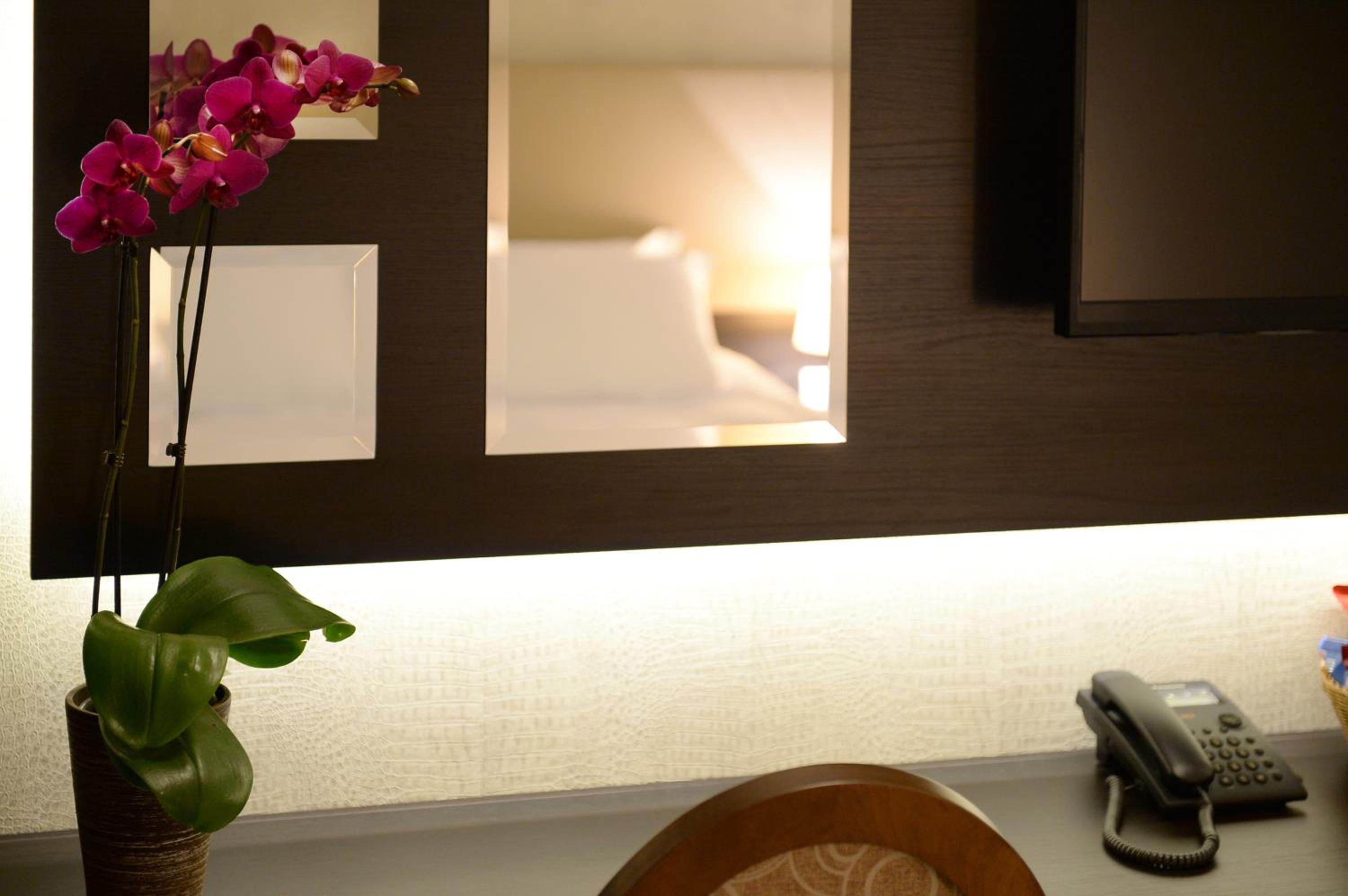 Superior Single Room