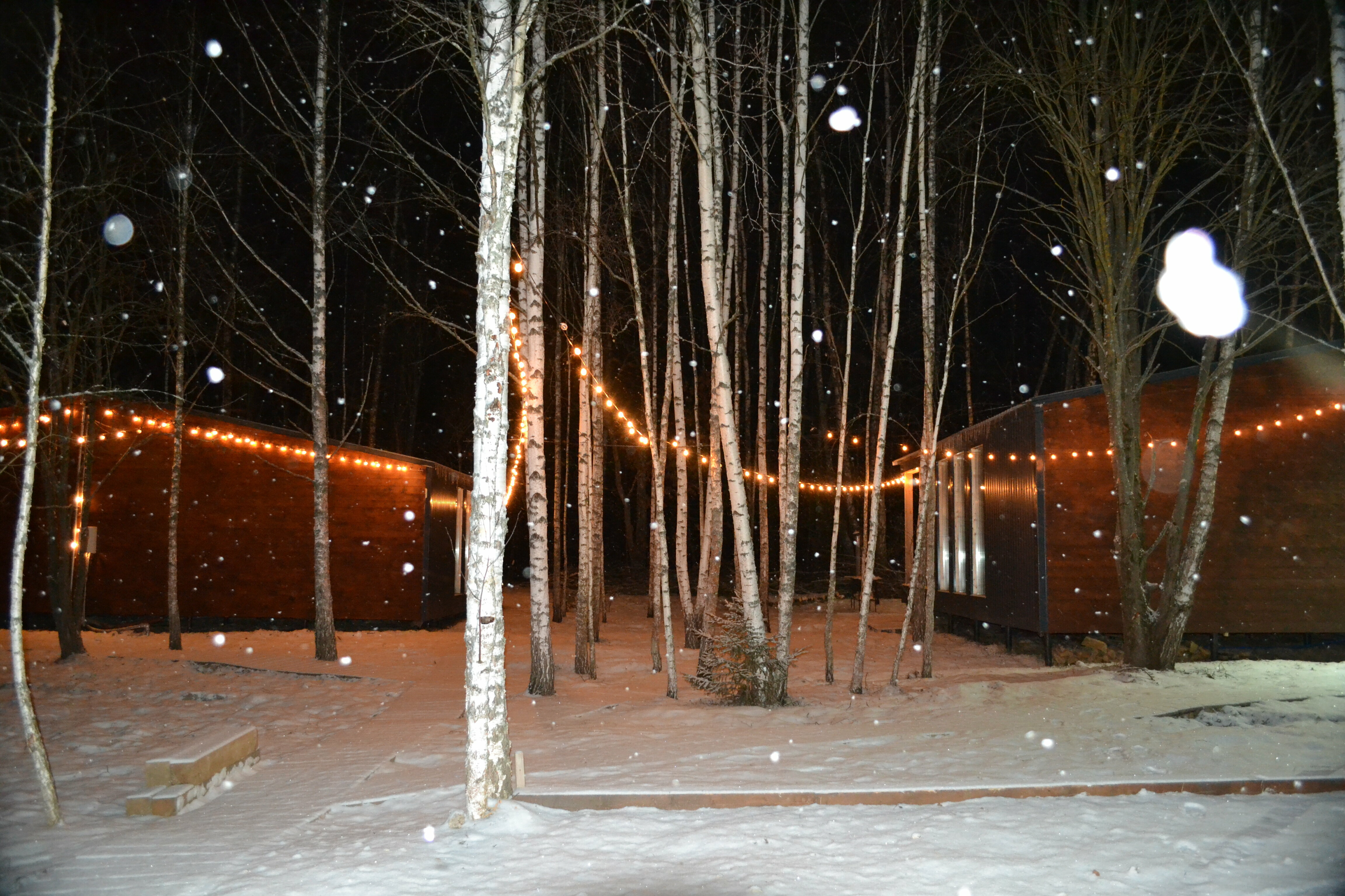 Дом с видом на лес