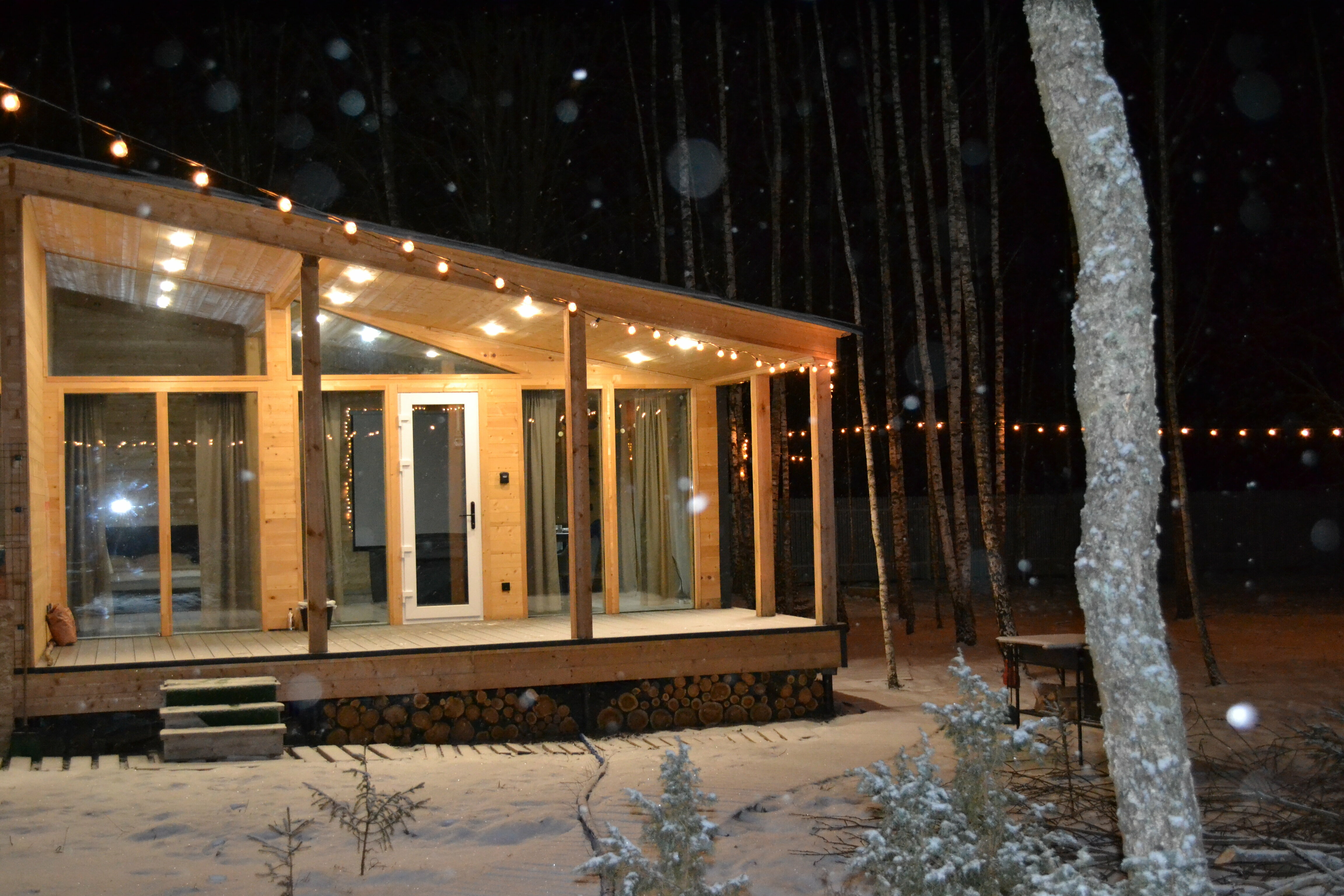 Дом с видом на лес