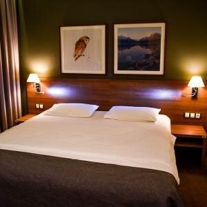 Комфорт двухместный с одной кроватью