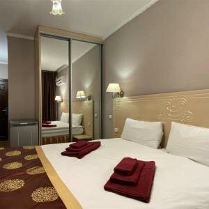 Номер без балкона (1 двуспальная или 2 раздельные кровати) 202-207,302-304,307,309,408,703