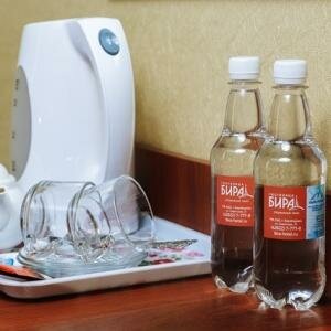 Номер первой категории с двумя кроватями (вид во двор)