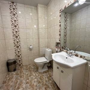 Категория 1 Большой двухкомнатный номер с 1 двуспальной кроватью с видом в атриум