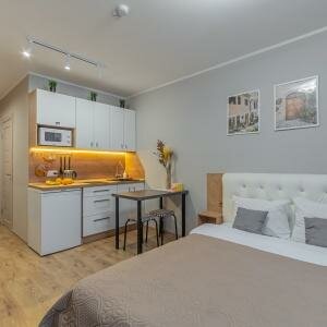 Студия стандарт 20 кв.м.