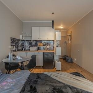 Студия стандарт 20 кв.м.