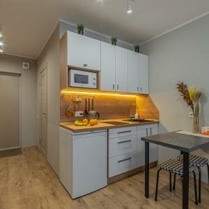 Студия стандарт 20 кв.м.