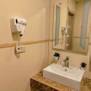 Двухместный комфорт плюс с террасой