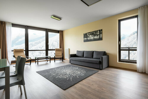 Улучшенные апартаменты с 1 спальней