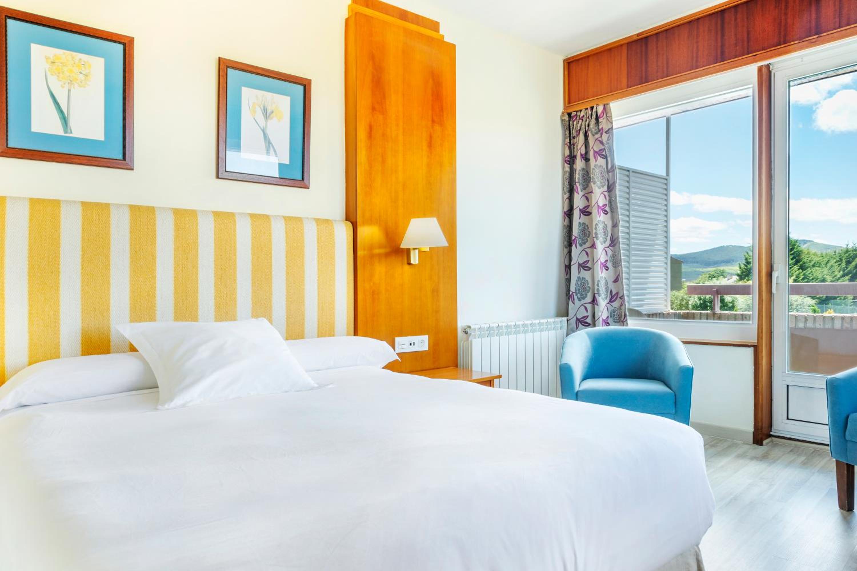 Superior Double Room with Terrace