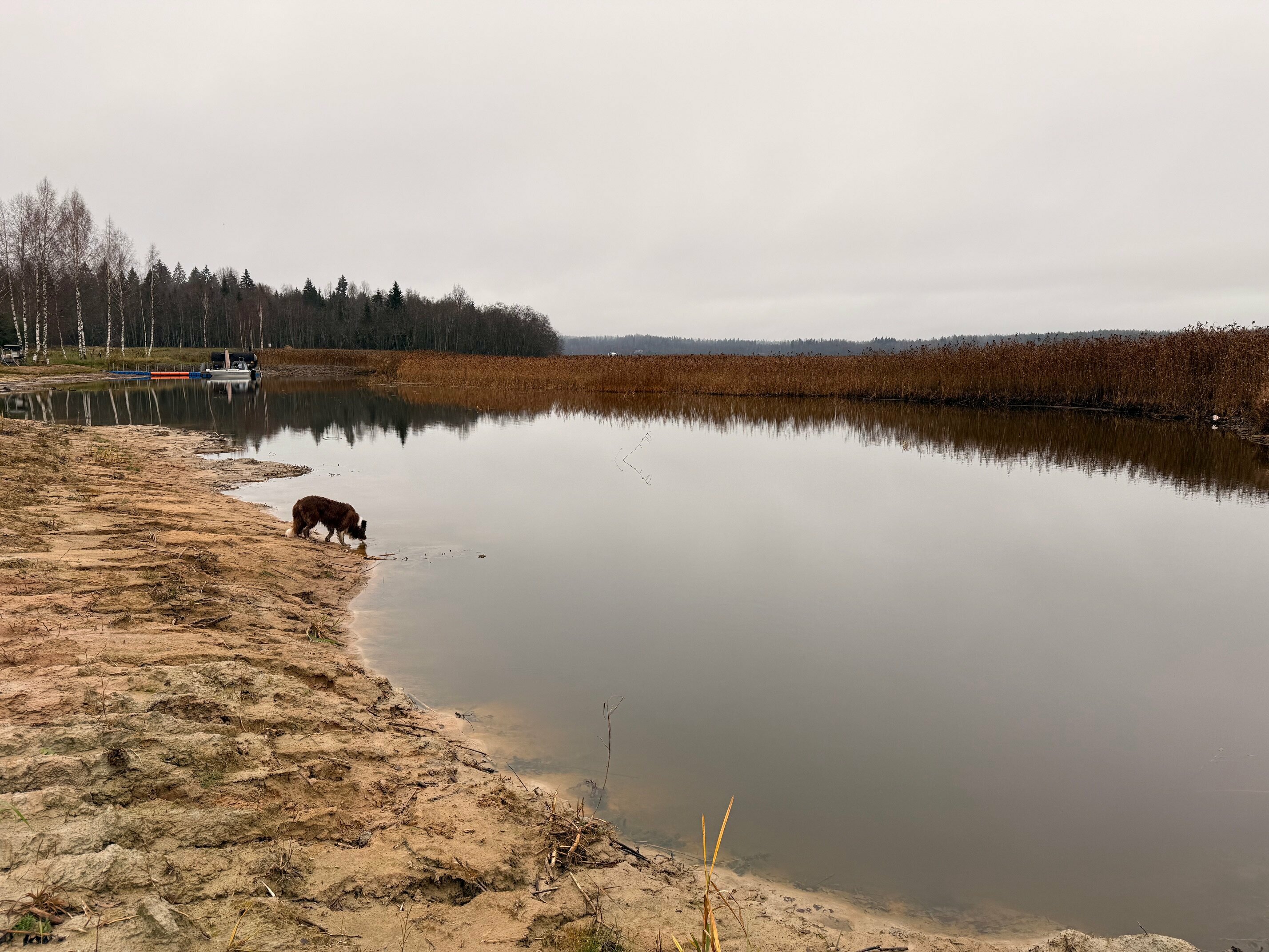 Дом с видом на озеро