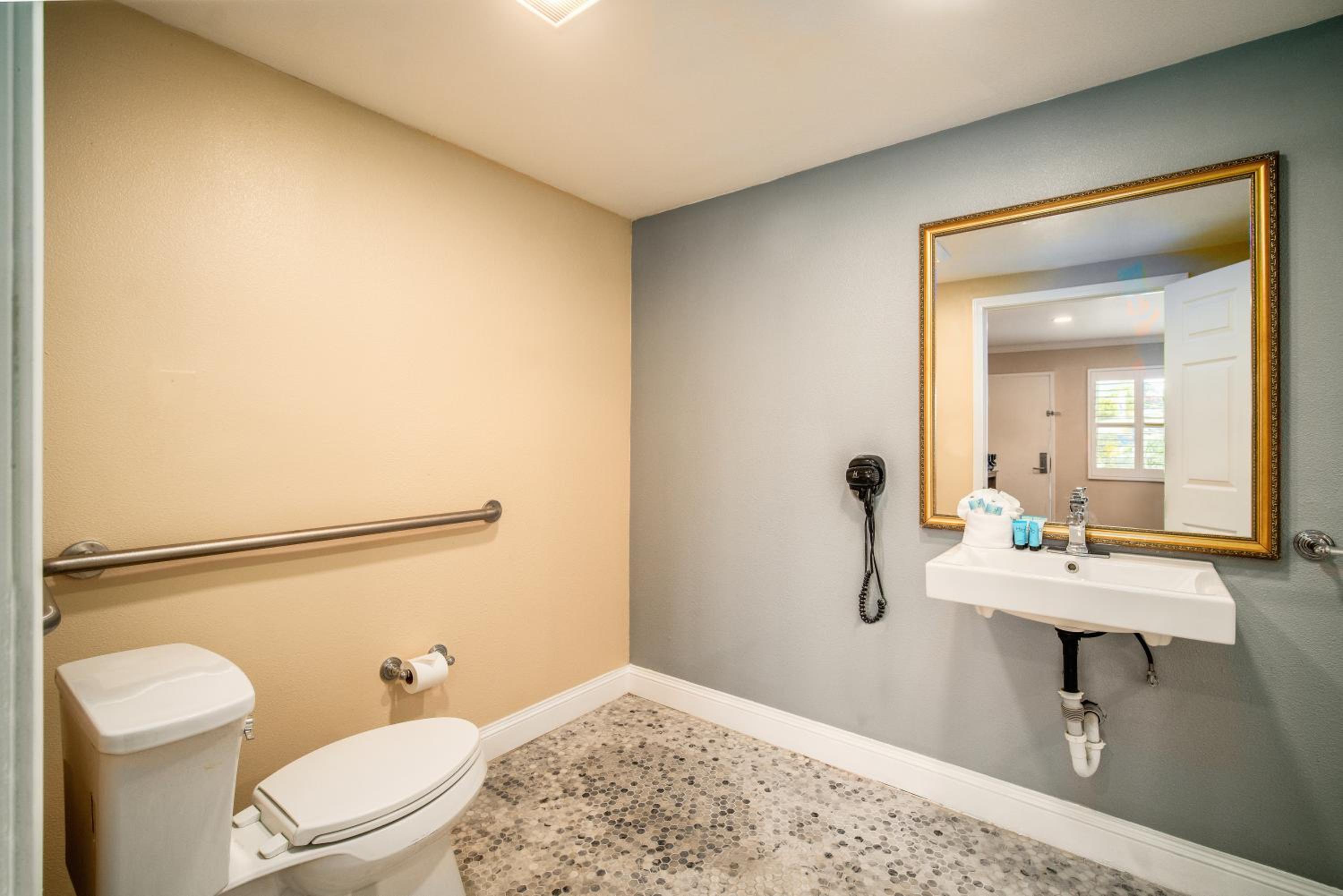 Standard Room, 1 King Bed, Accessible, Roll-In Shower, Non Smoking