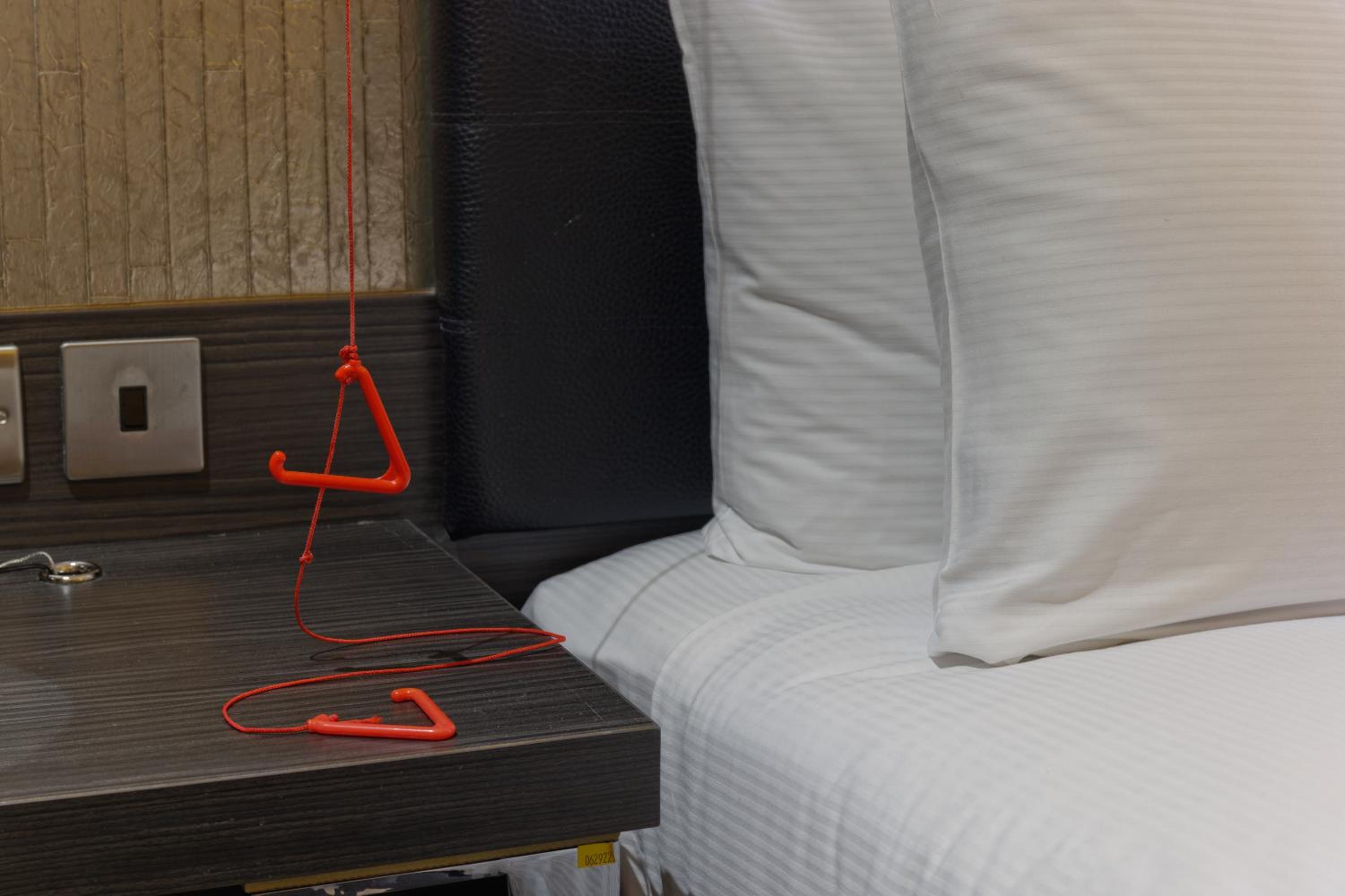 Accessible King Deluxe Room with Castle View