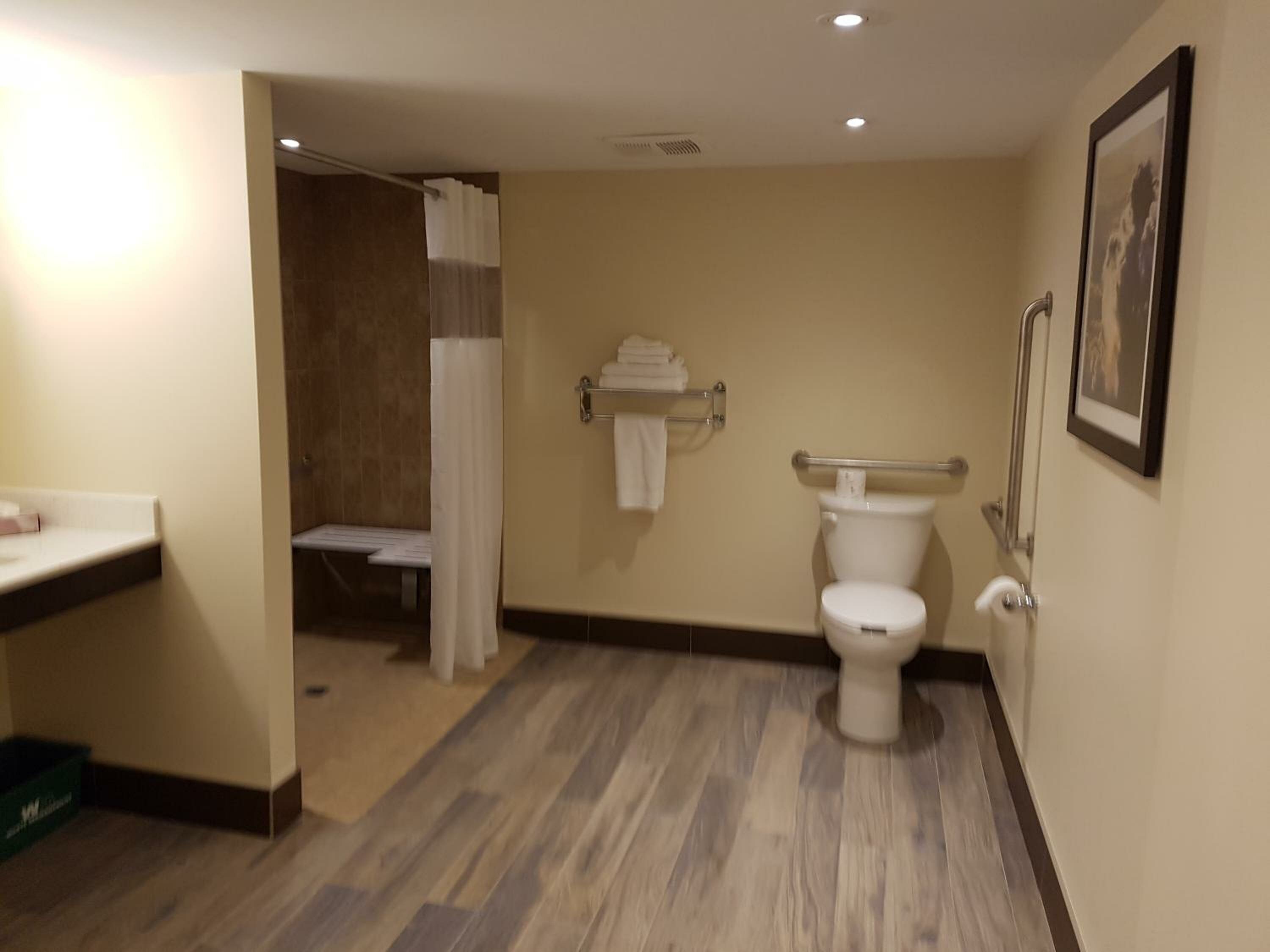 Queen Room with Roll-In Shower - Disability Access/Non-Smoking