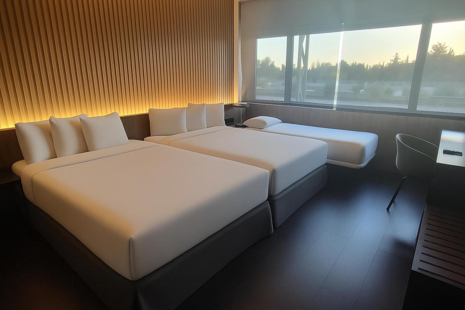 Deluxe Triple Room (3 Adults) 