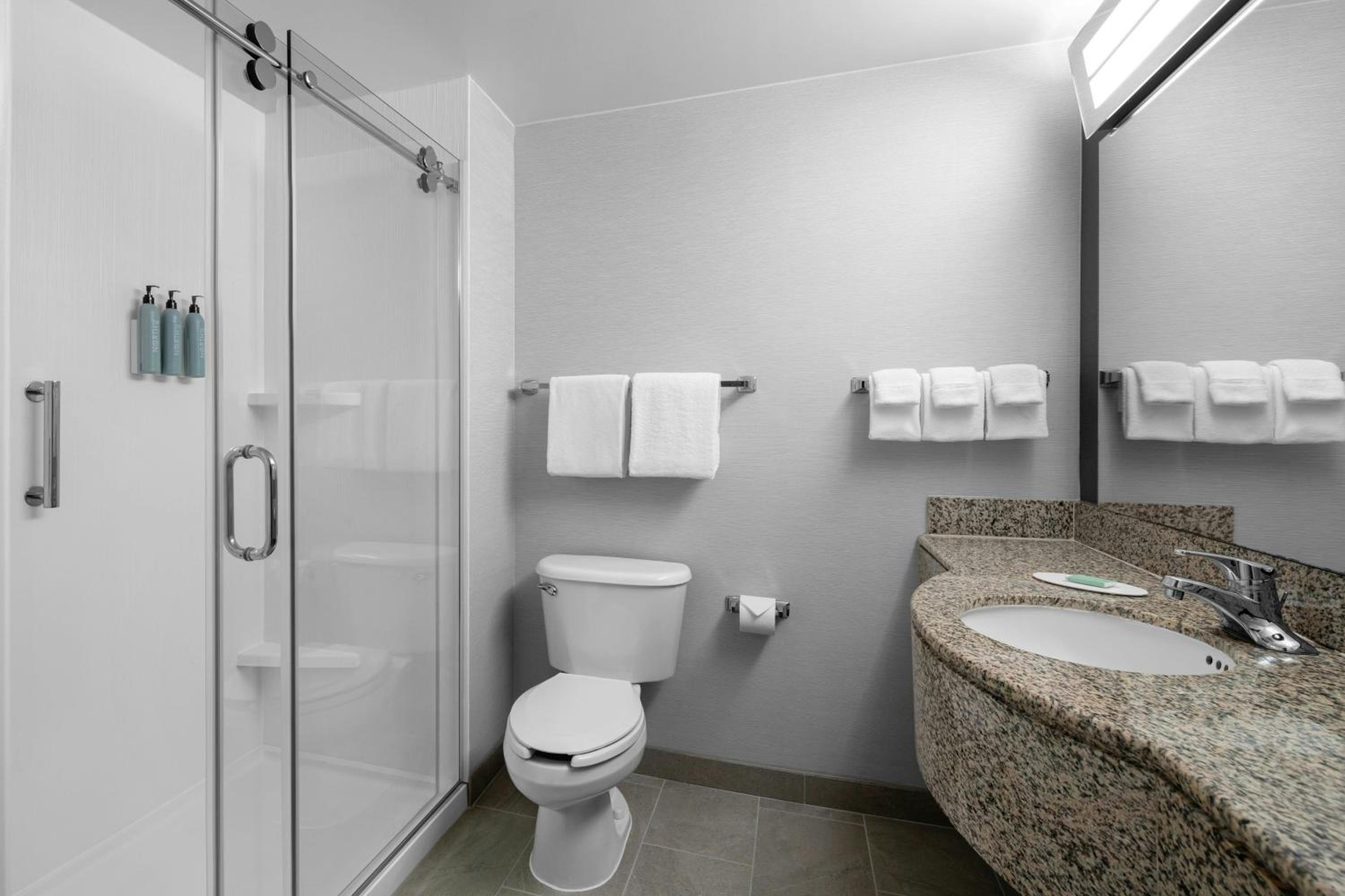 King Room with Sofa Bed - Hearing Accessible