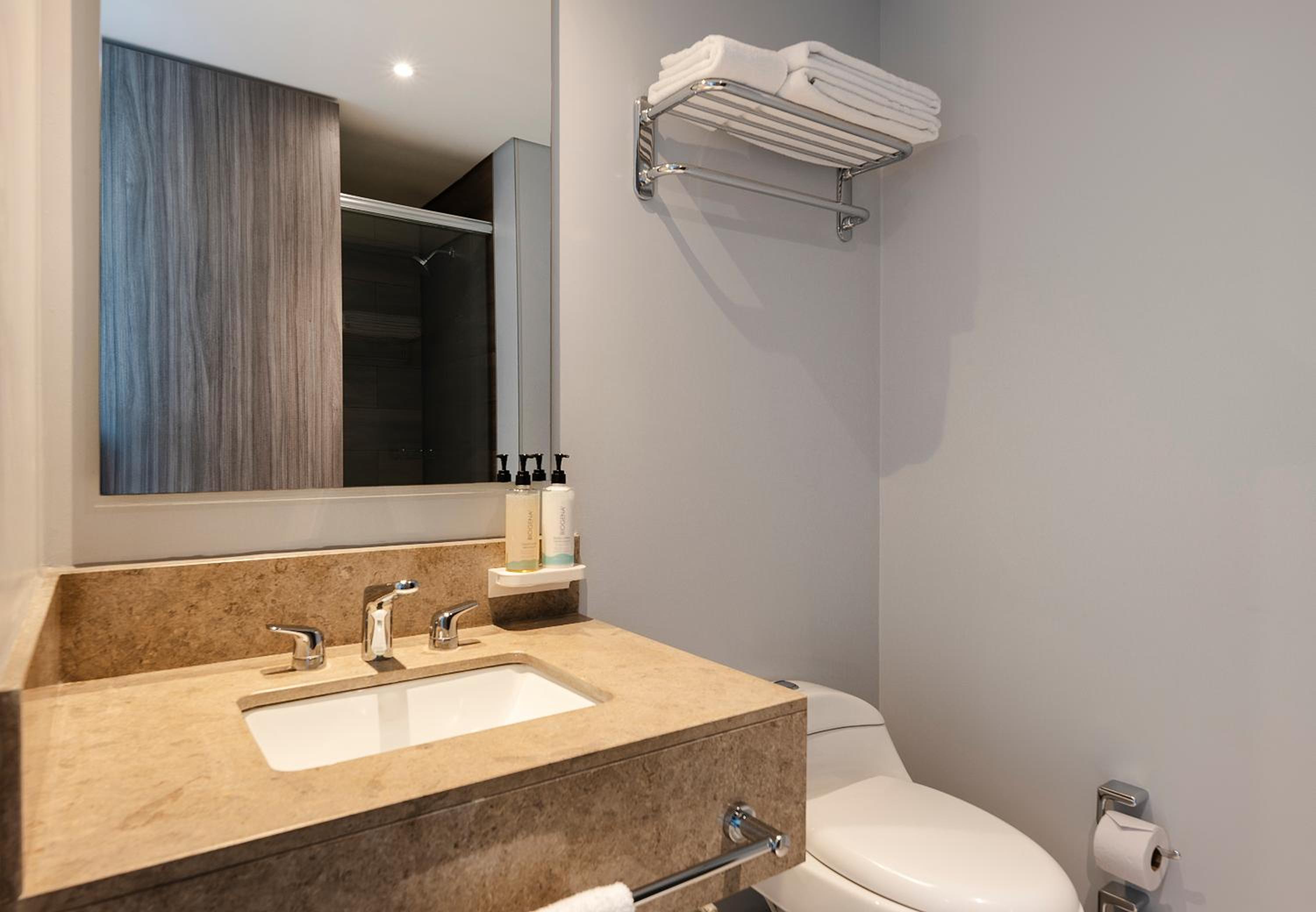 Queen Room with Roll-In Shower - Mobility Access/Non-Smoking