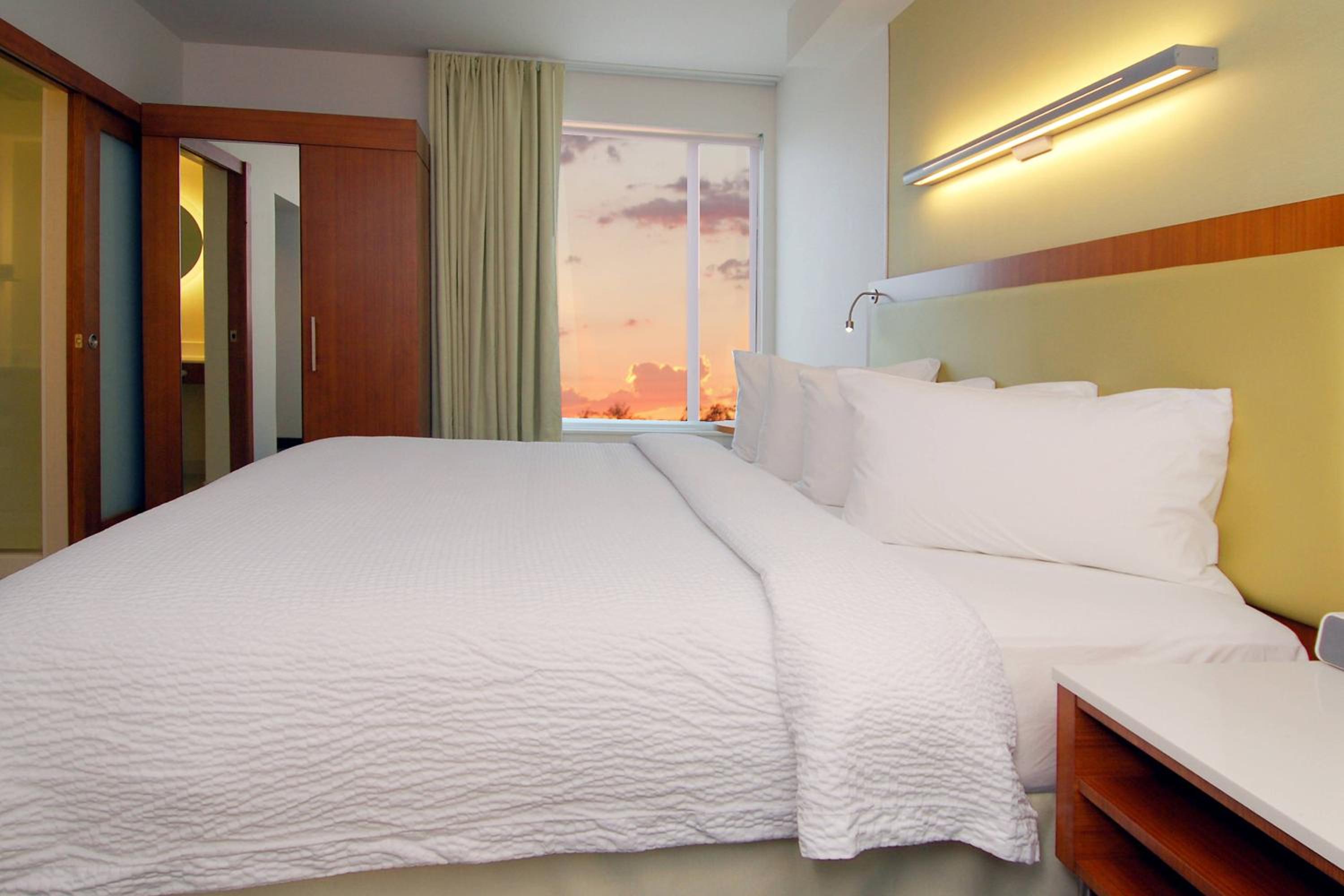 King Studio with Sofa Bed and Roll-in Shower - Mobility and Hearing Accessible