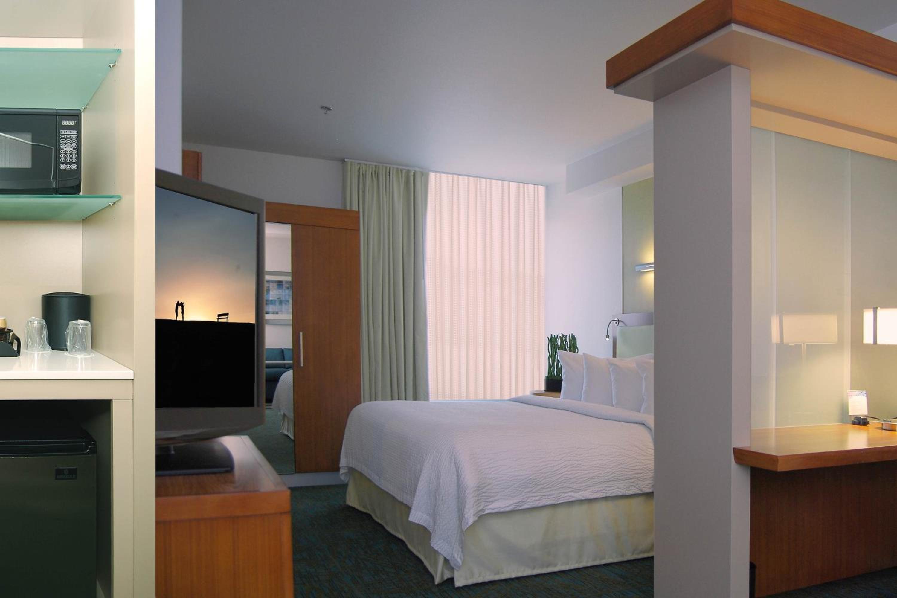 King Studio with Sofa Bed and Roll-in Shower - Mobility and Hearing Accessible