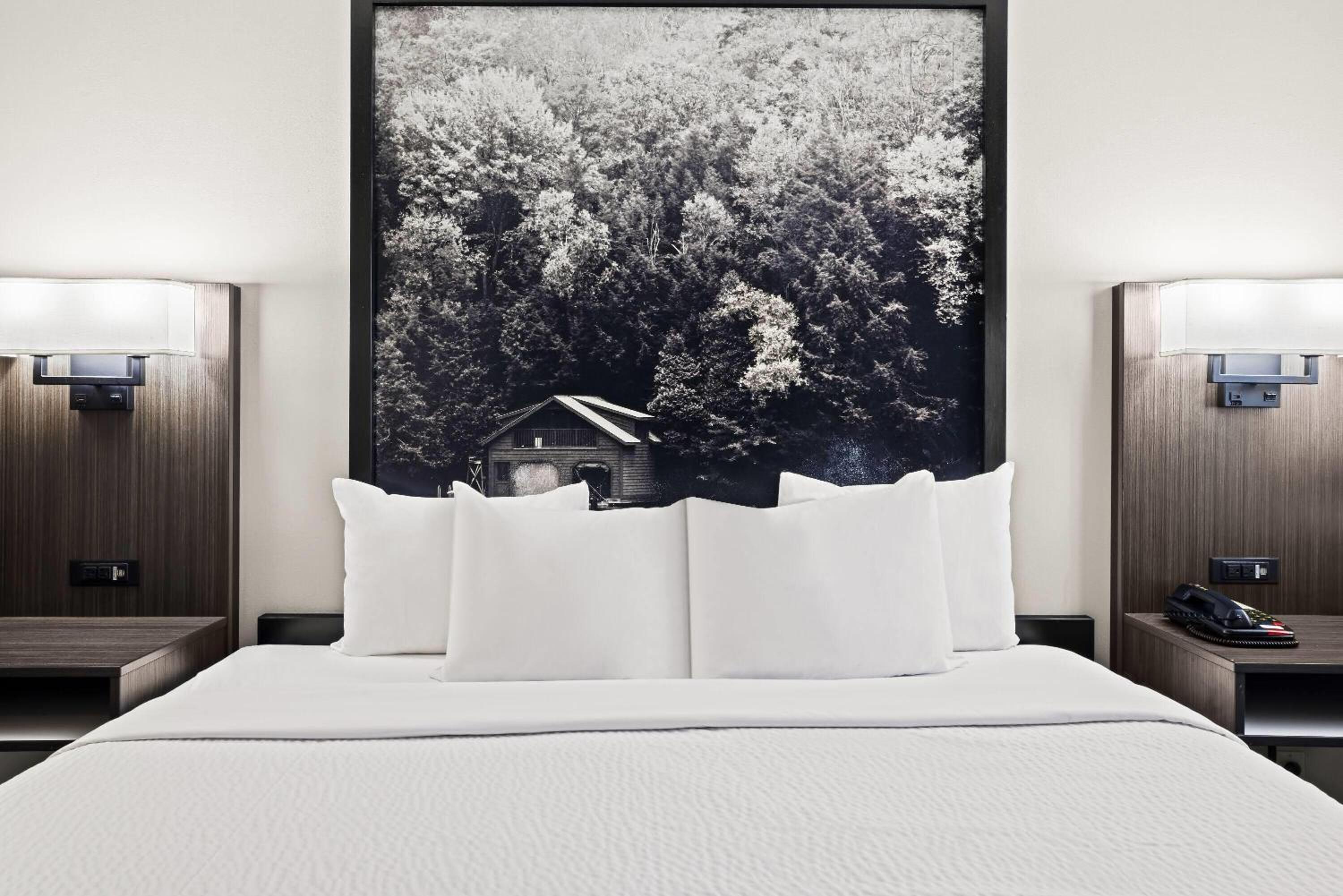 Studio Suite with One King Bed - Ground Floor - Non-Smoking