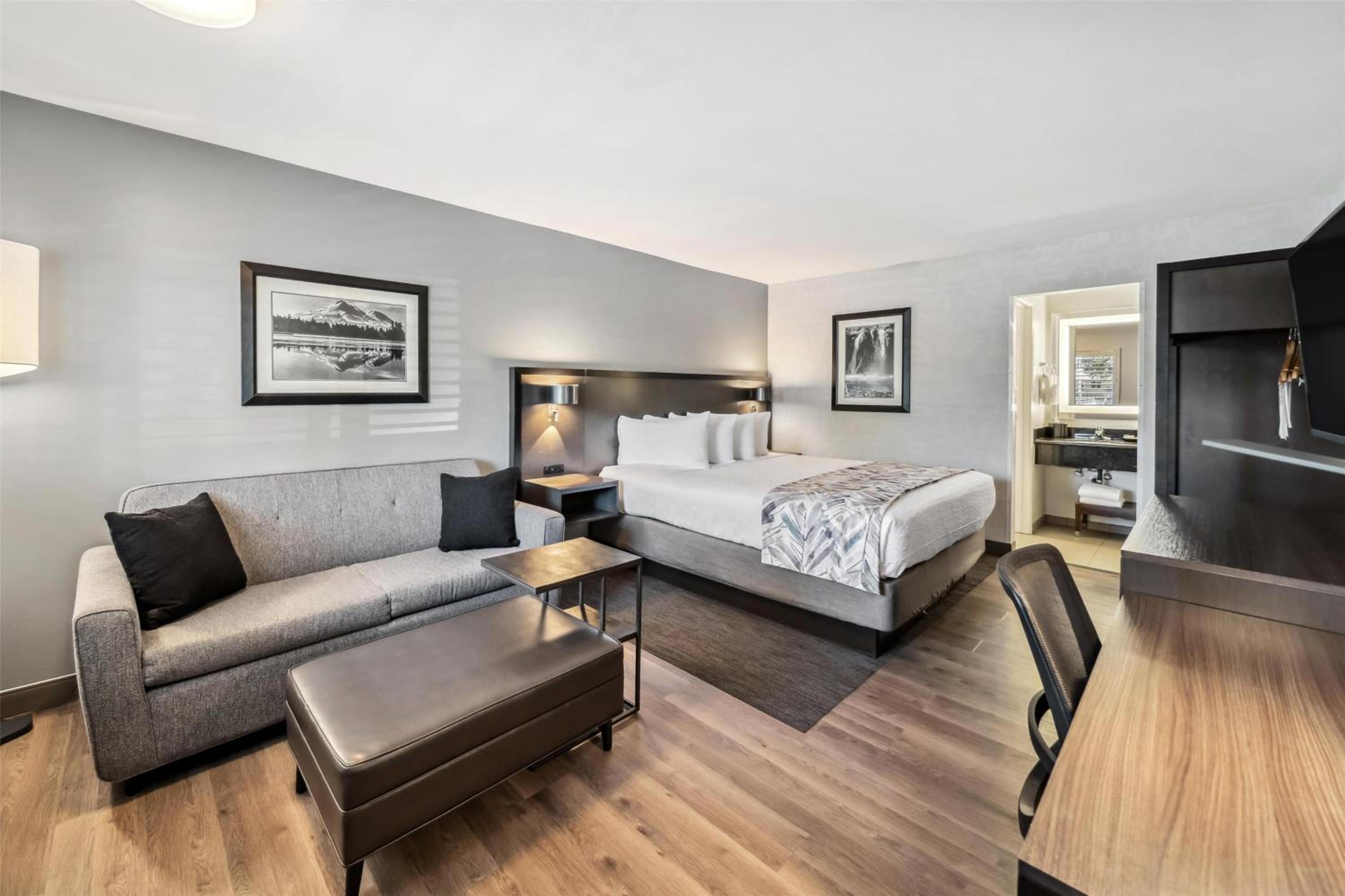 Executive King Room with Sofa Bed - Pet Friendly/Non-Smoking