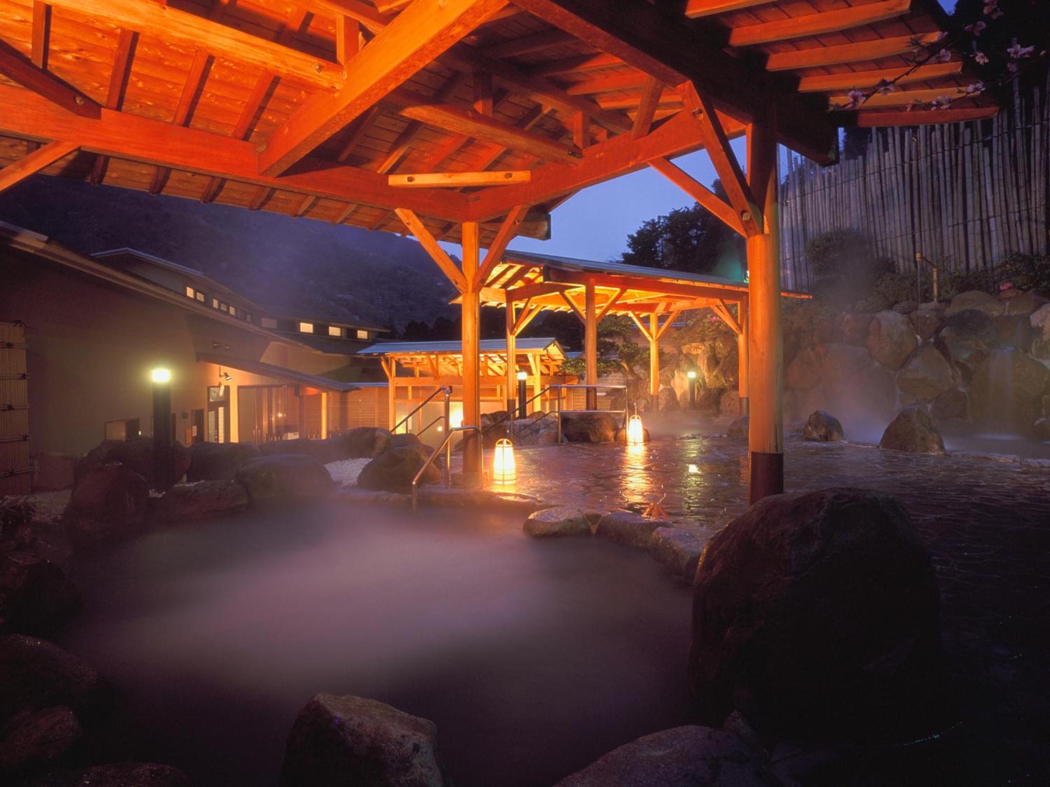 Renovated Deluxe Japanese Style twin Room with Sauna (Extra bed)