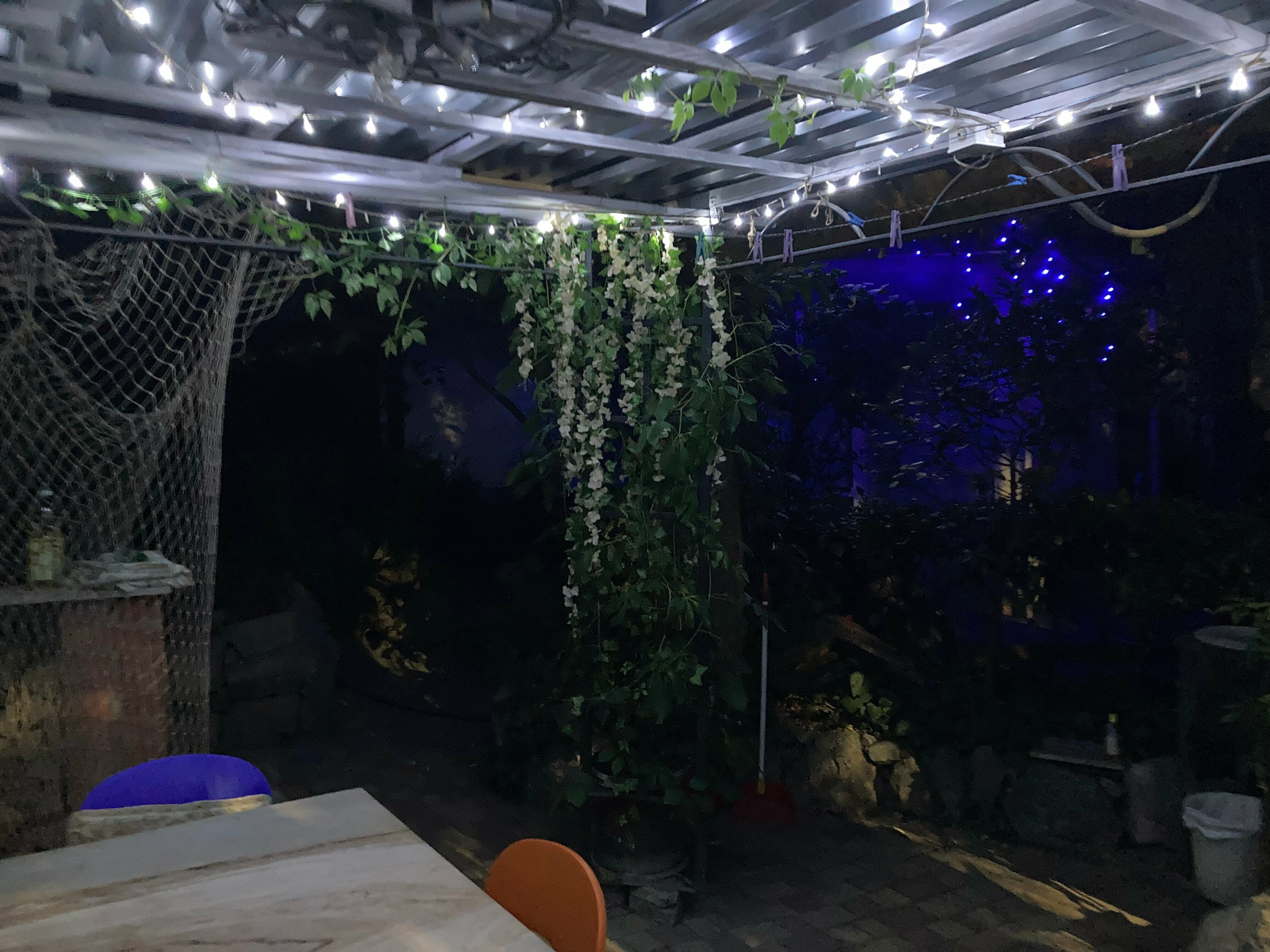 Семейный номер с собственным двориком