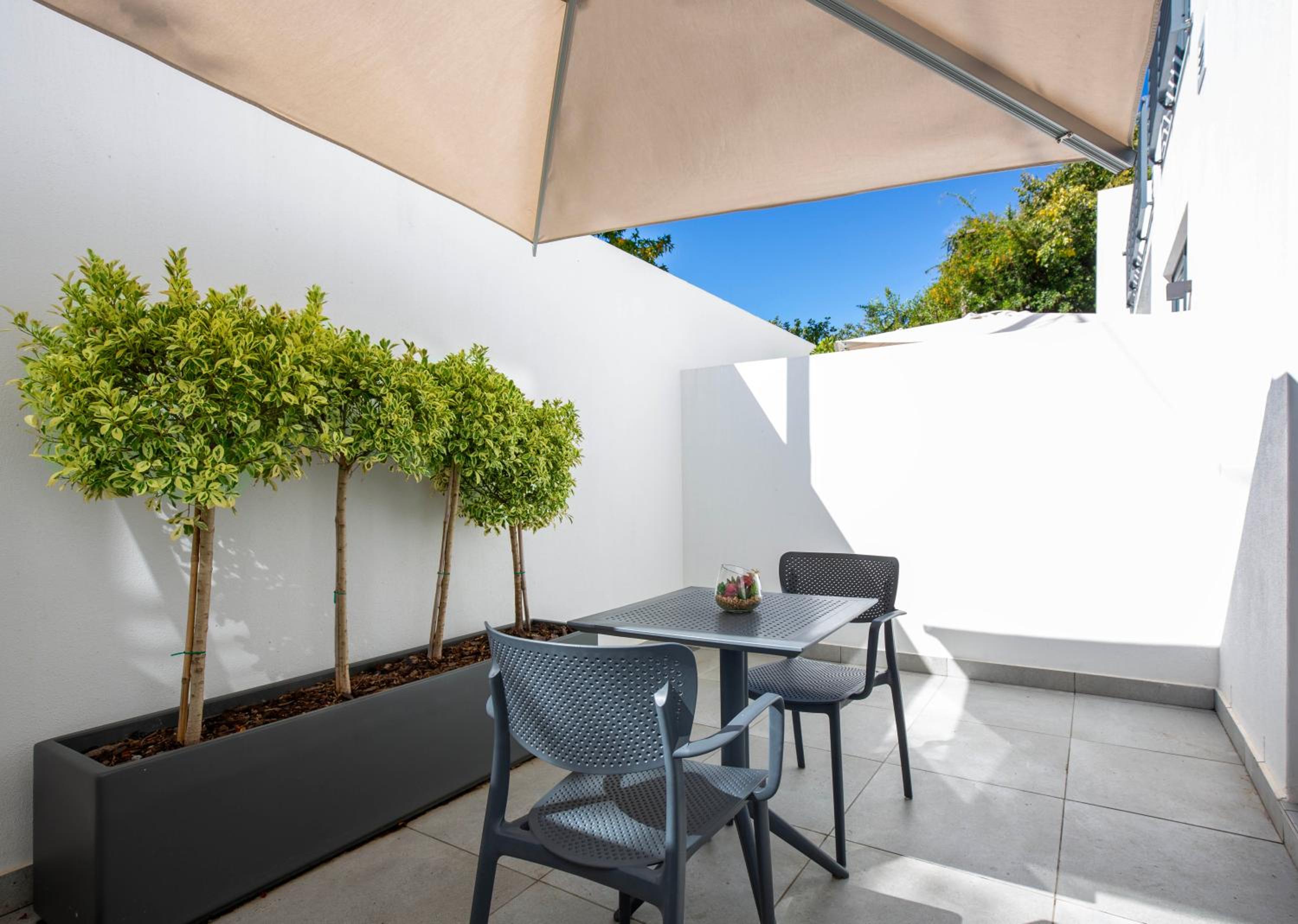 Superior Double or Twin Room with Terrace