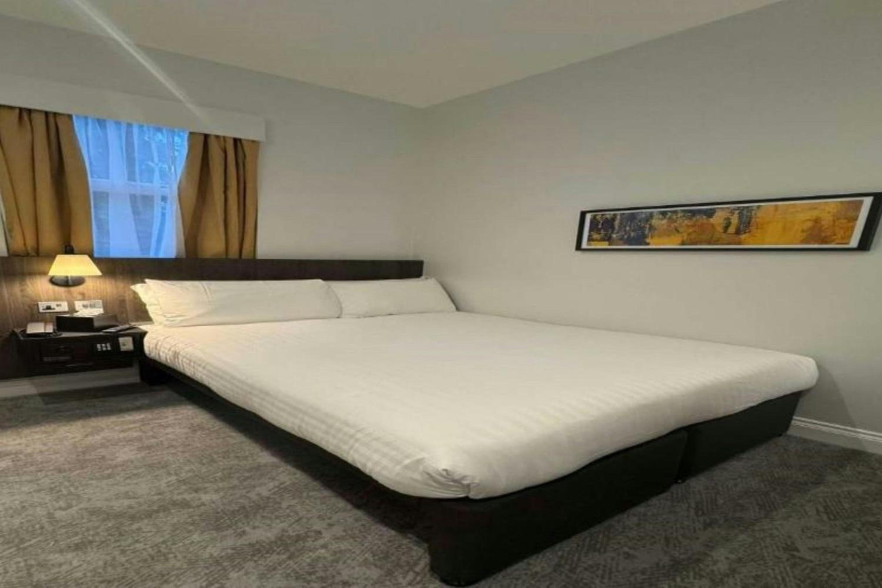 Cozy Double Room