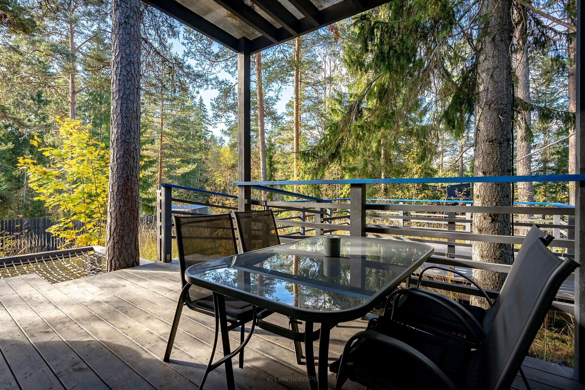 Дом с видом на лес