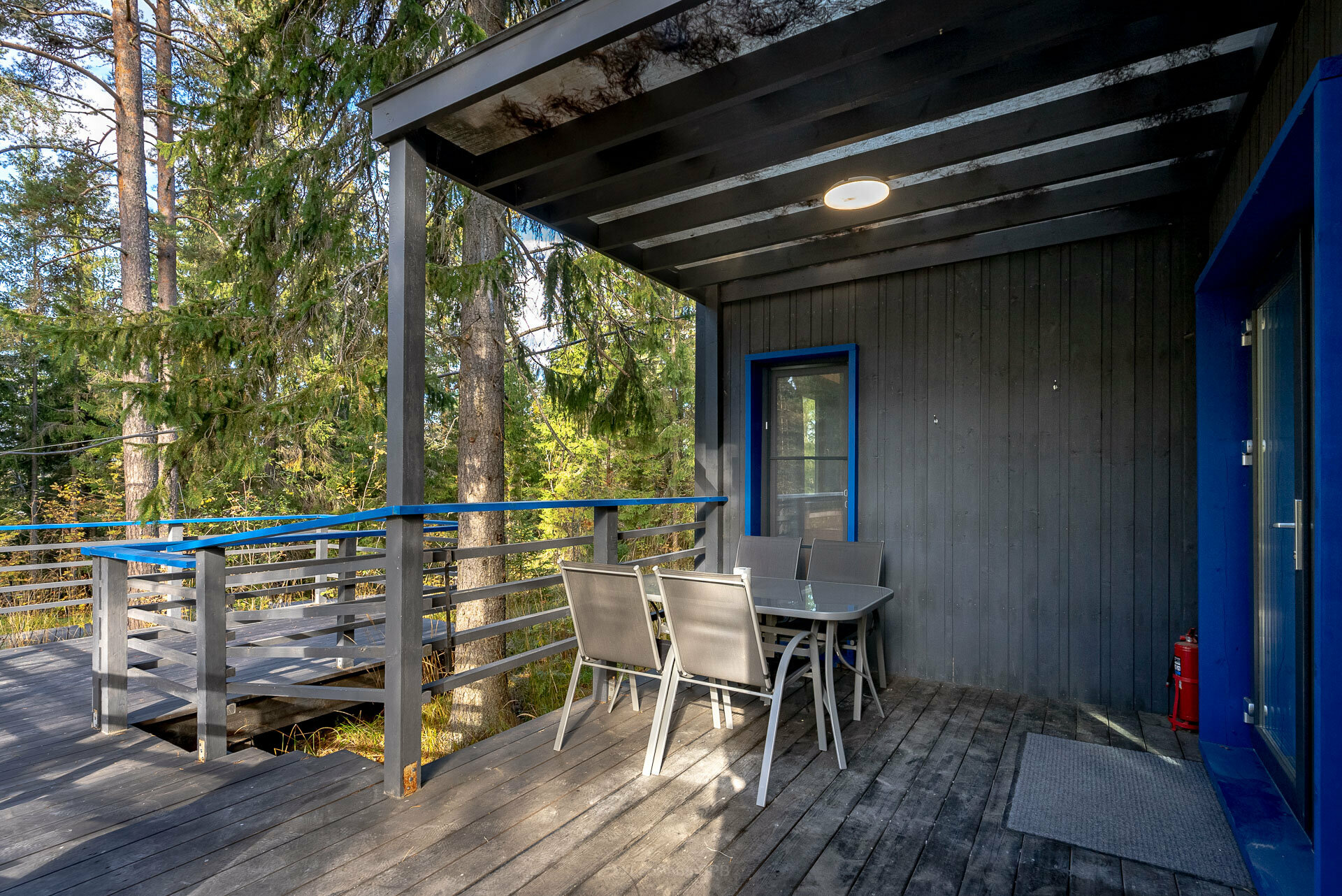 Дом с видом на лес