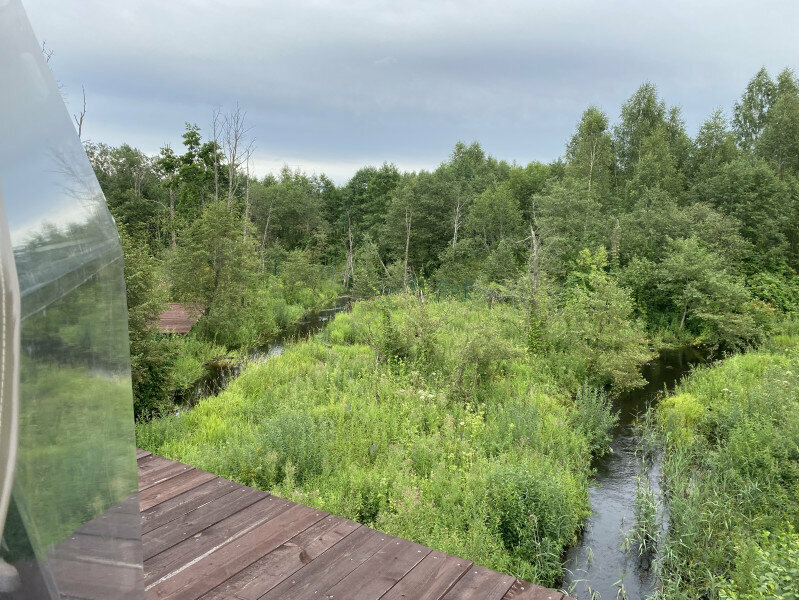 Сфера Алтай