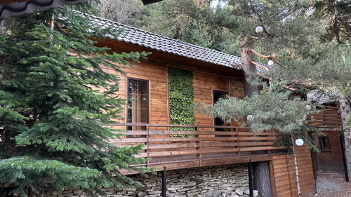 Коттедж с видом на лес