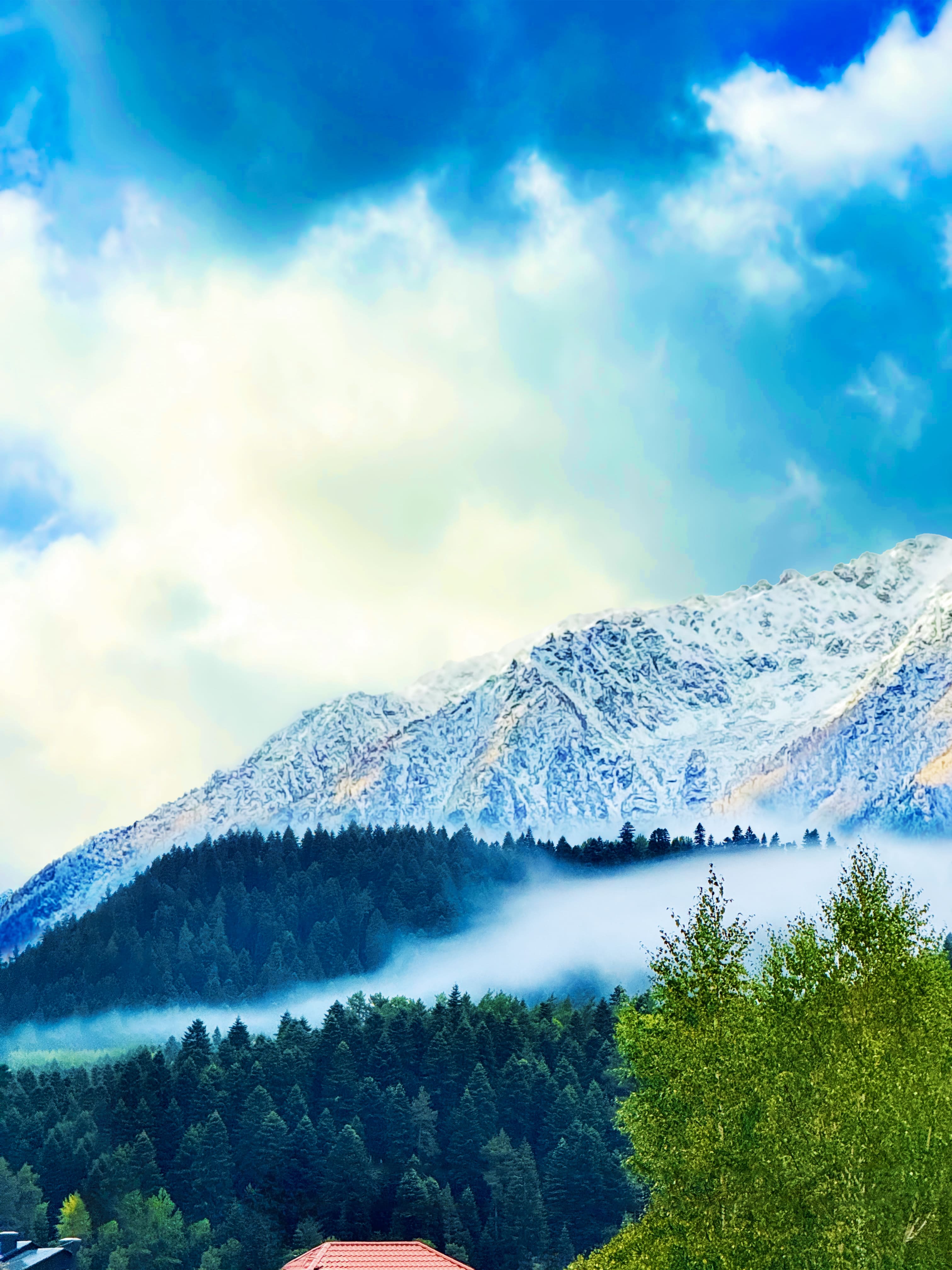 Трехкомнатный улучшенный комфорт с видом на горы | 3 этаж