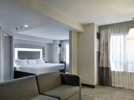 1 King Bed Junior Suite