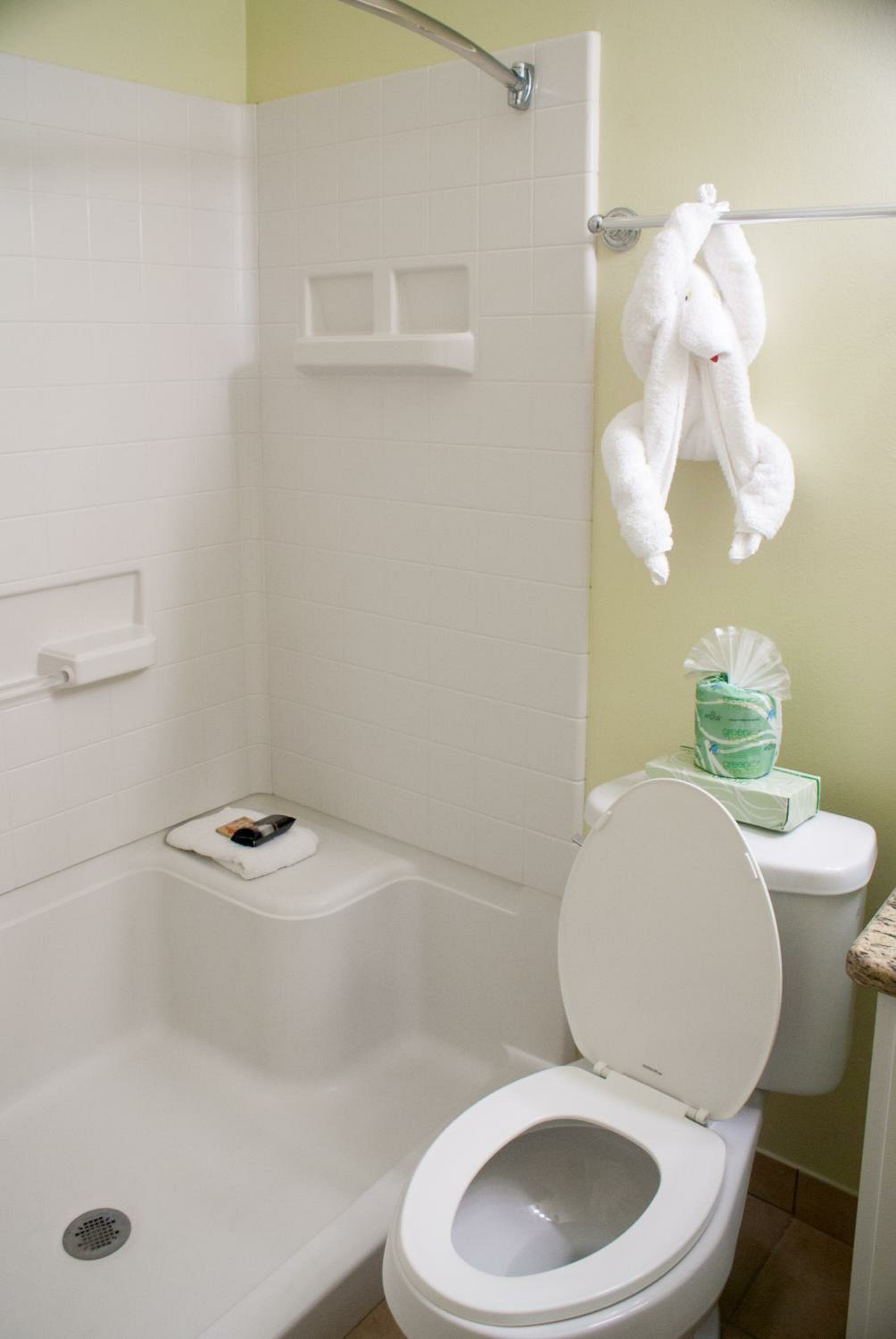 Deluxe Two-Bedroom Apartment