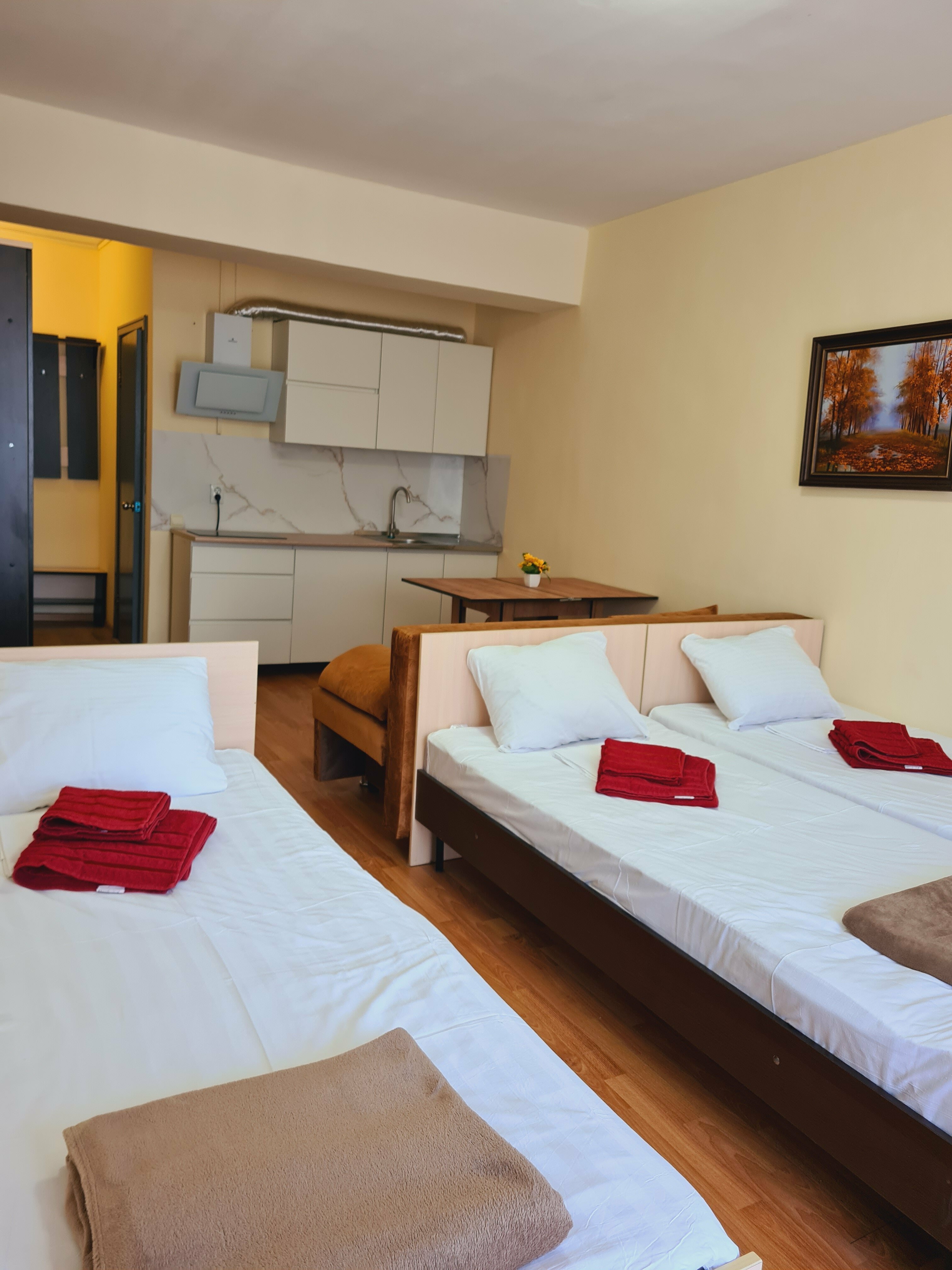 Студия с кухней, 5-ти местный