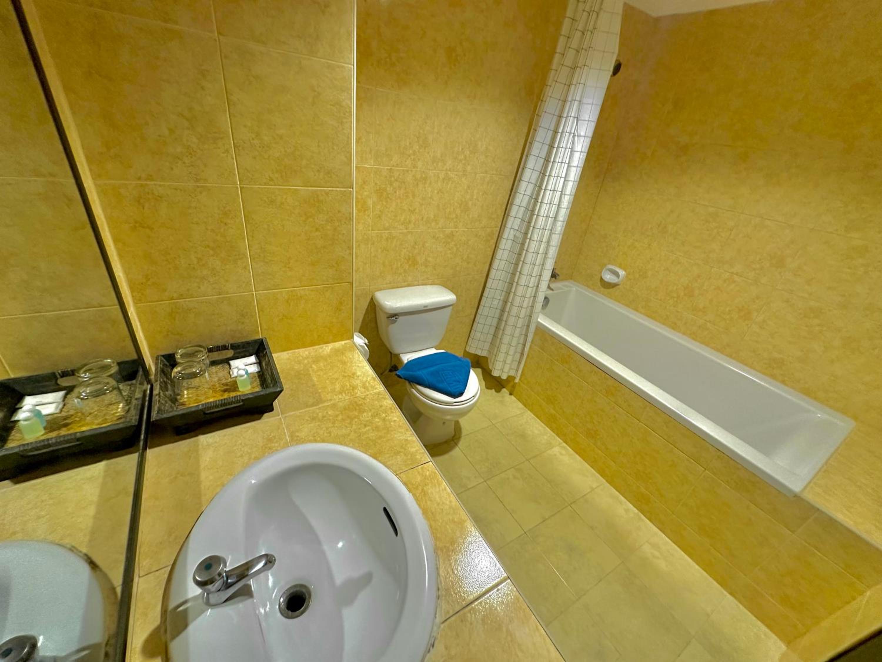 Superior Double or Twin Room with Mountain View