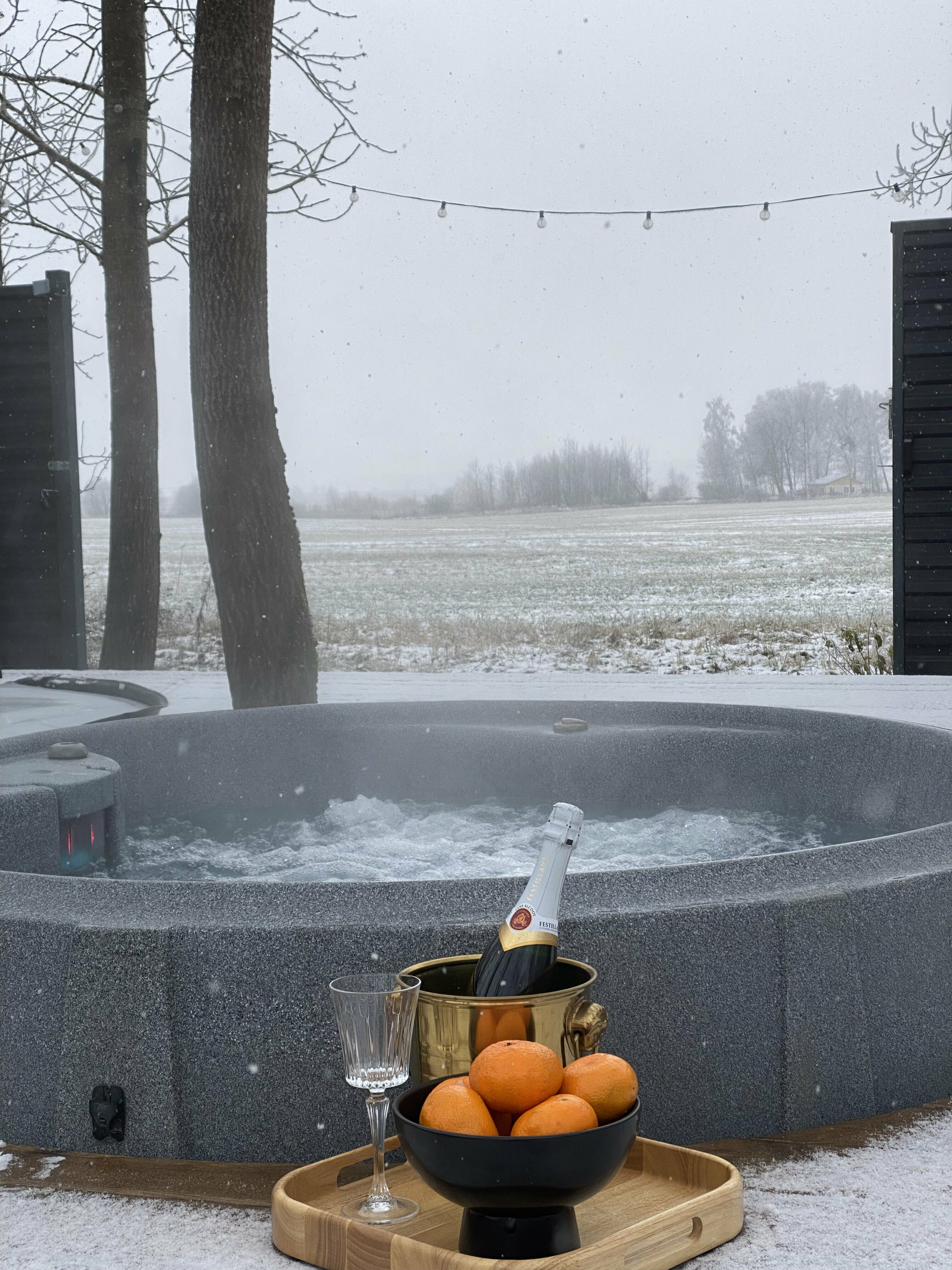 Дом с сауной, ванной и уличным джакузи