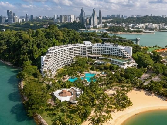 Deluxe King Pool View Room