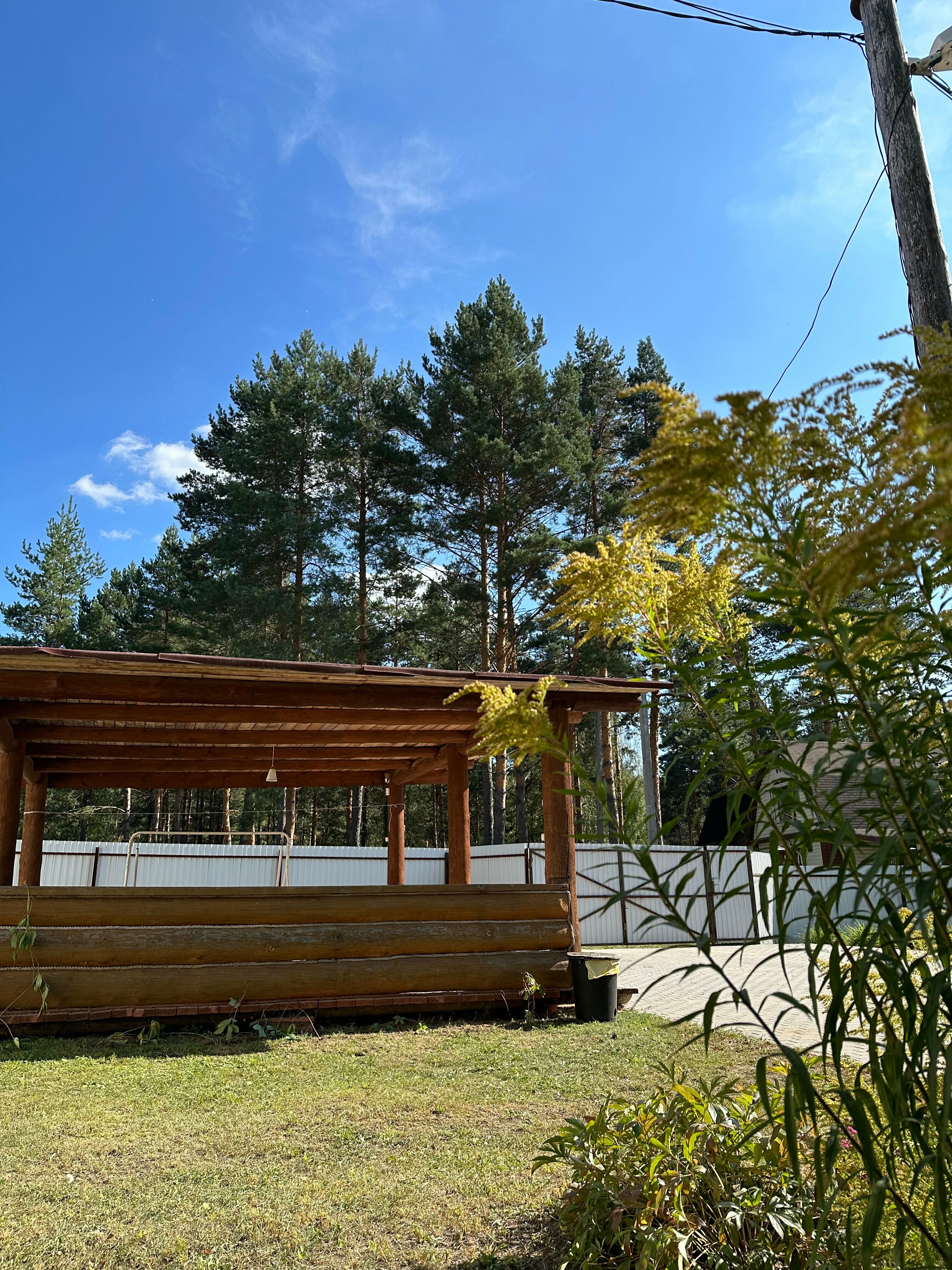 Дом с видом на лес