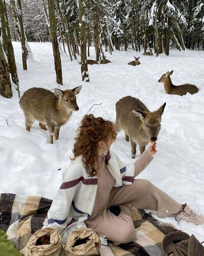 Домик с оленями и кроликами