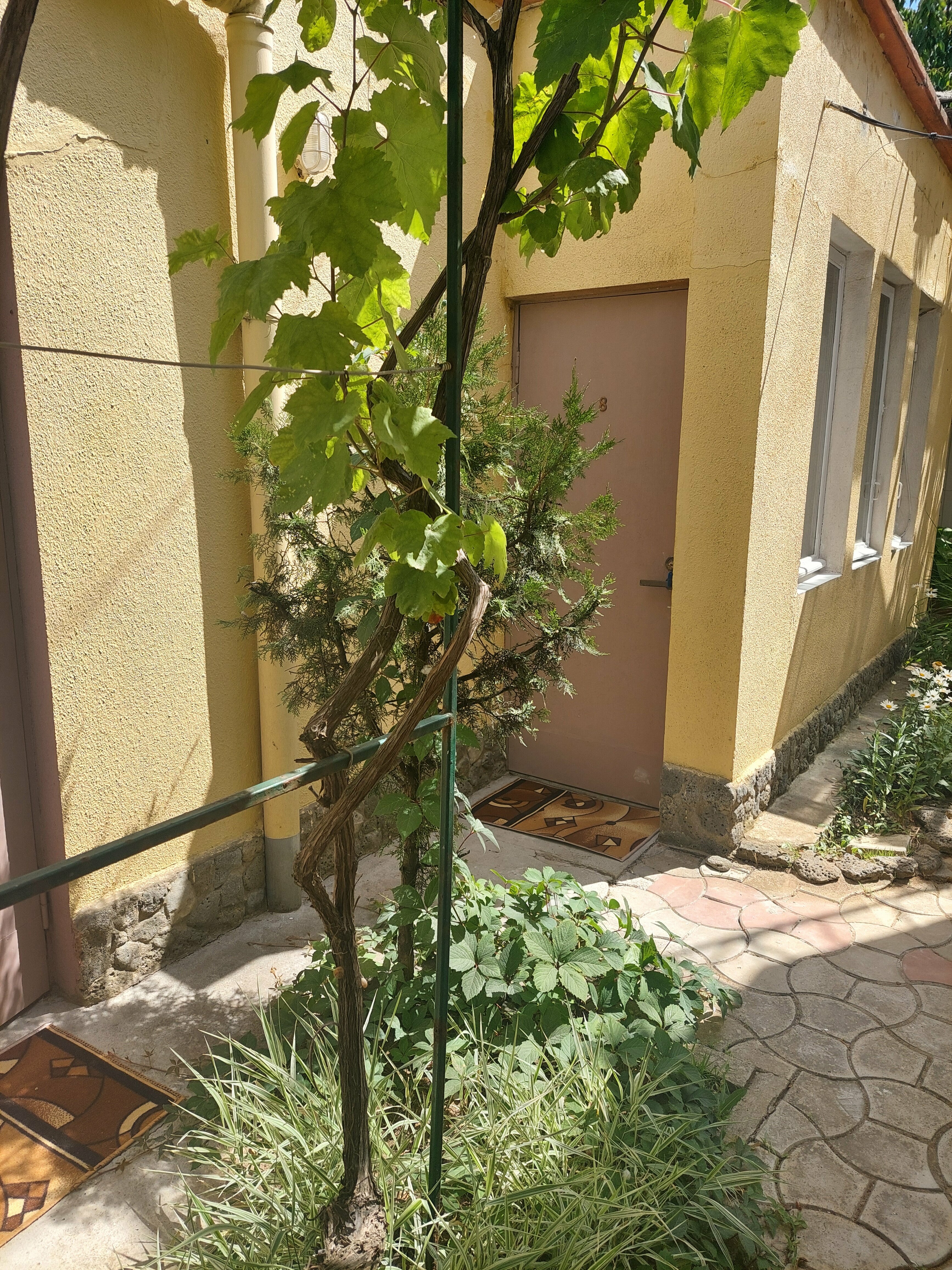 Трехместный номер с видом на сад