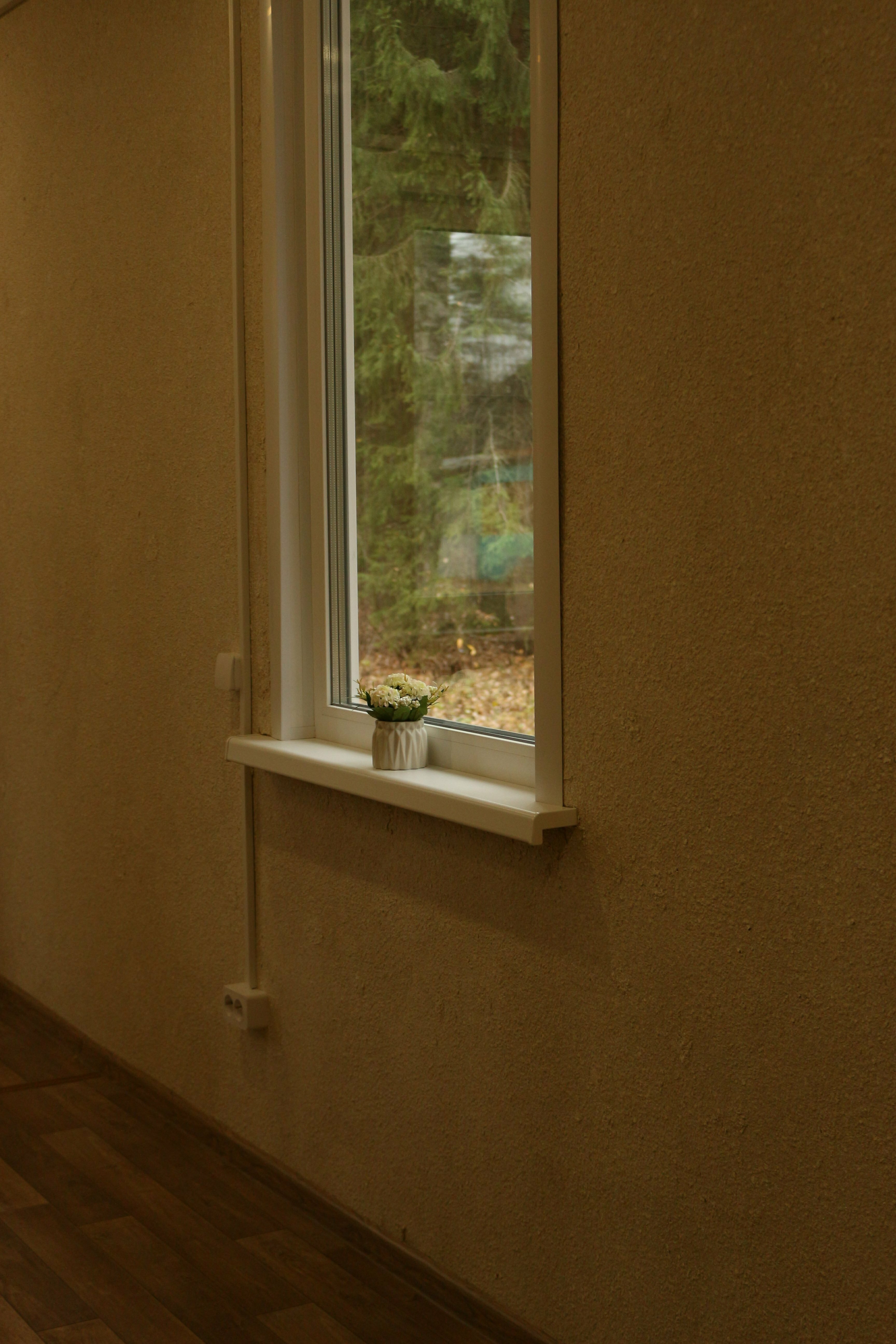 Коттедж с видом на лес